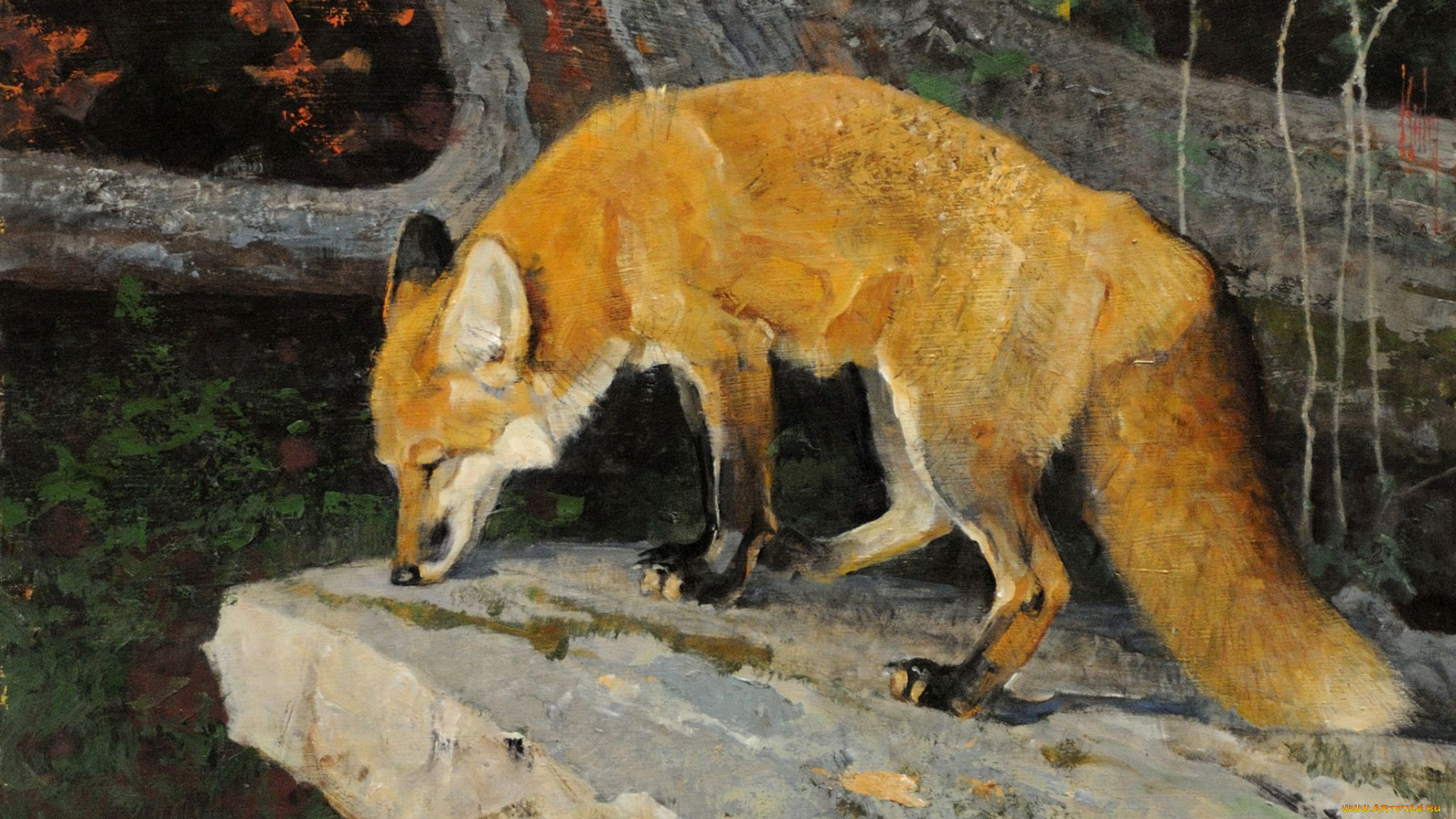 рисованные, bob, kuhn, хвост, рыжая, лиса, животные, камень, ветка