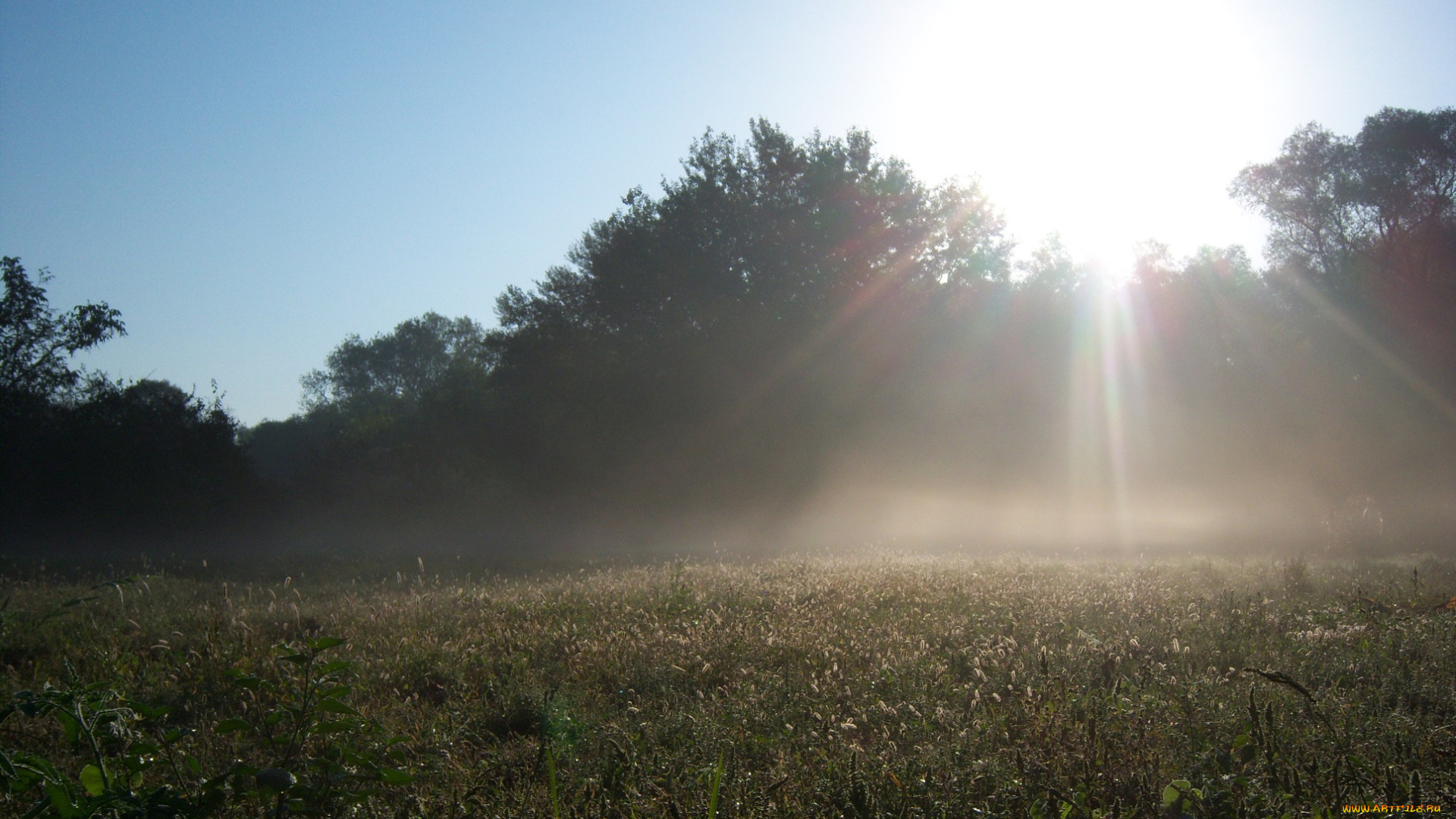 природа, восходы, закаты, туман, небо, солнце, деревья