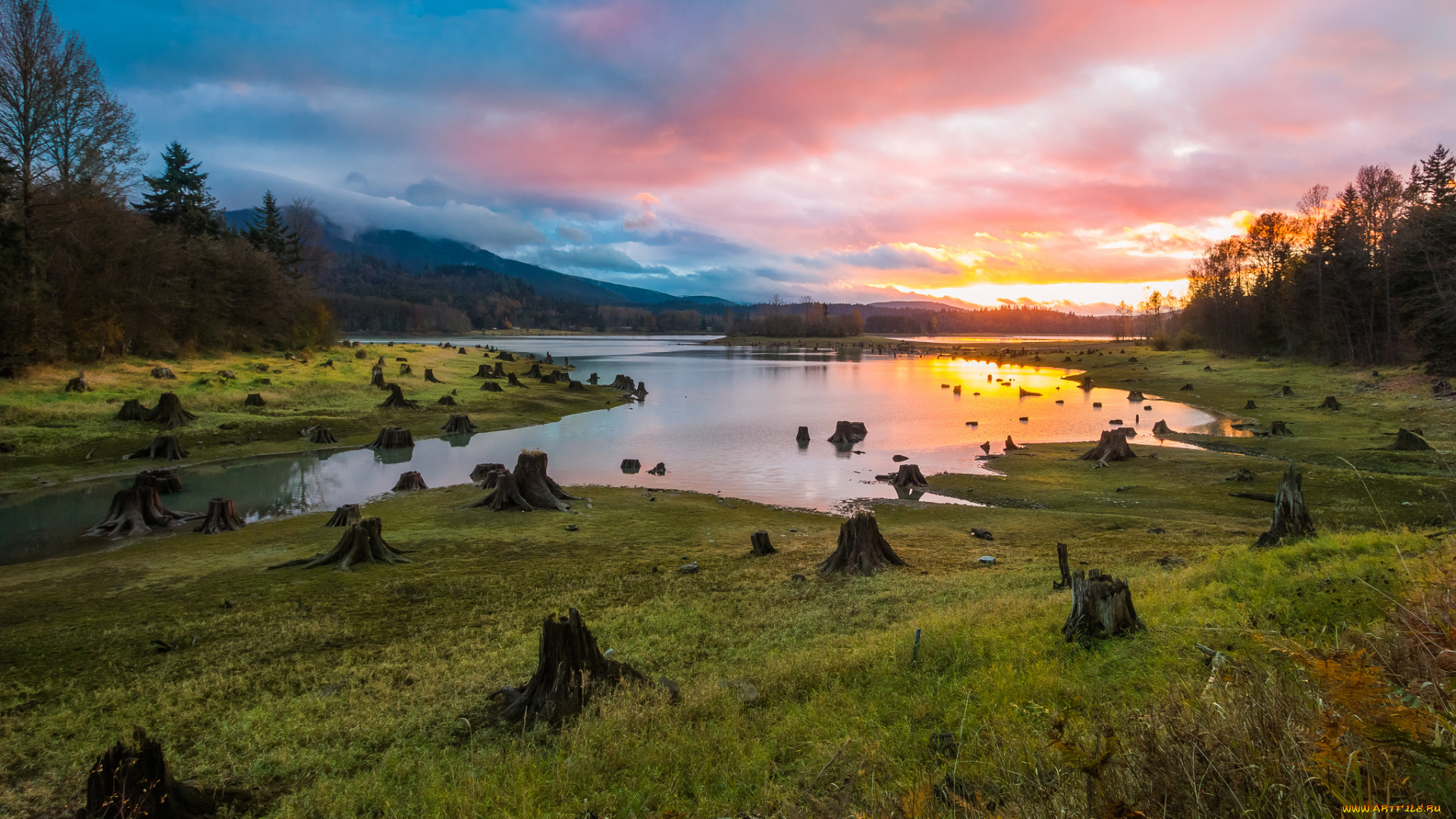 природа, восходы, закаты, заря, горизонт, трава, луг, лес, пни, река