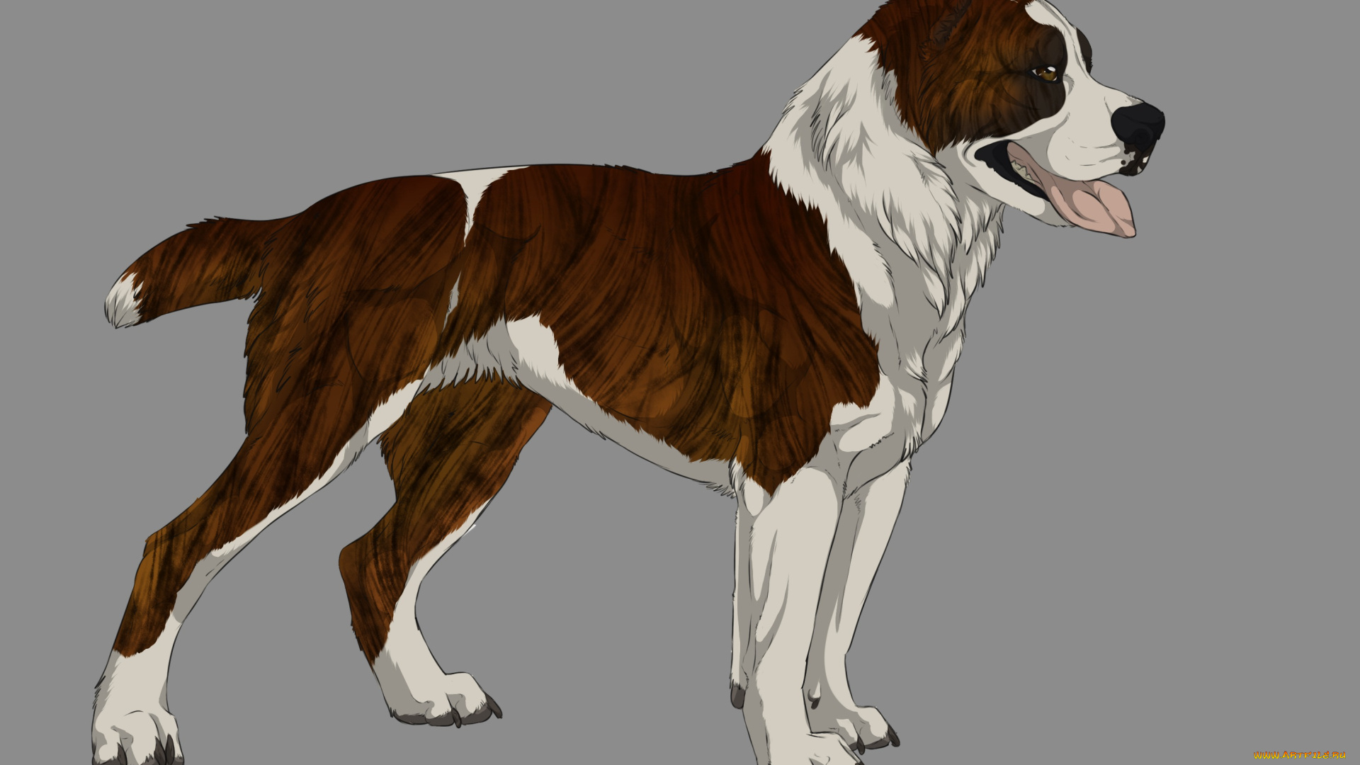 рисованные, животные, , собаки, собака