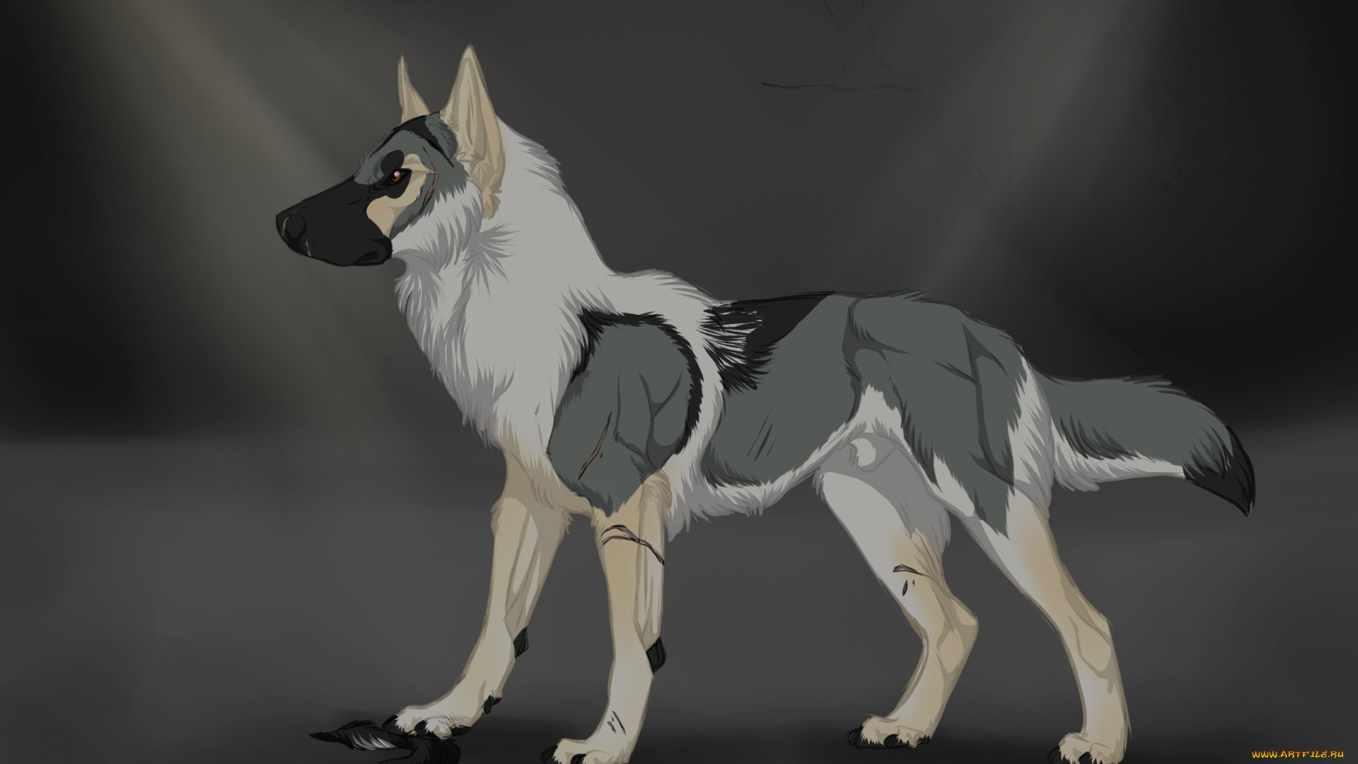 рисованные, животные, , собаки, собака