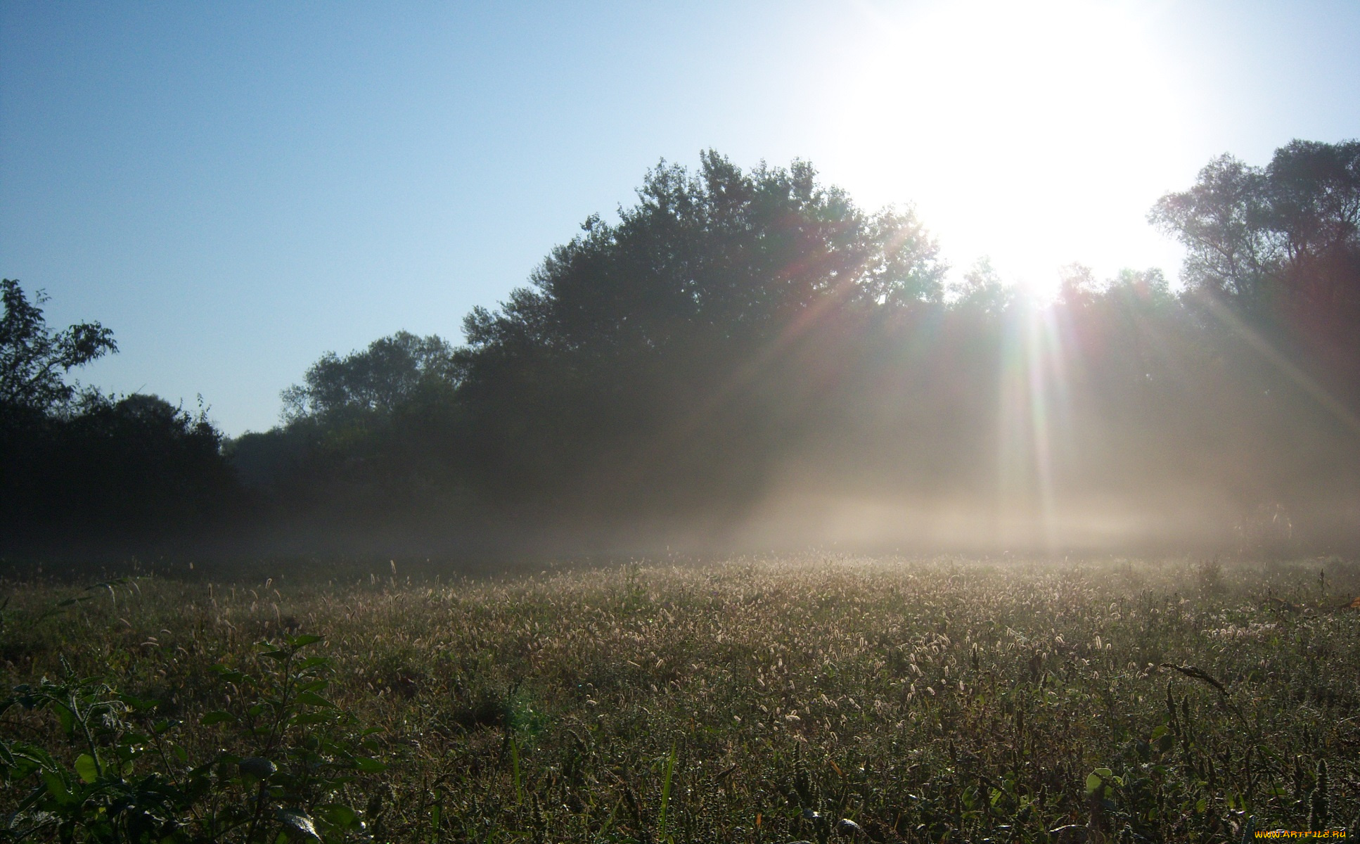 природа, восходы, закаты, туман, небо, солнце, деревья