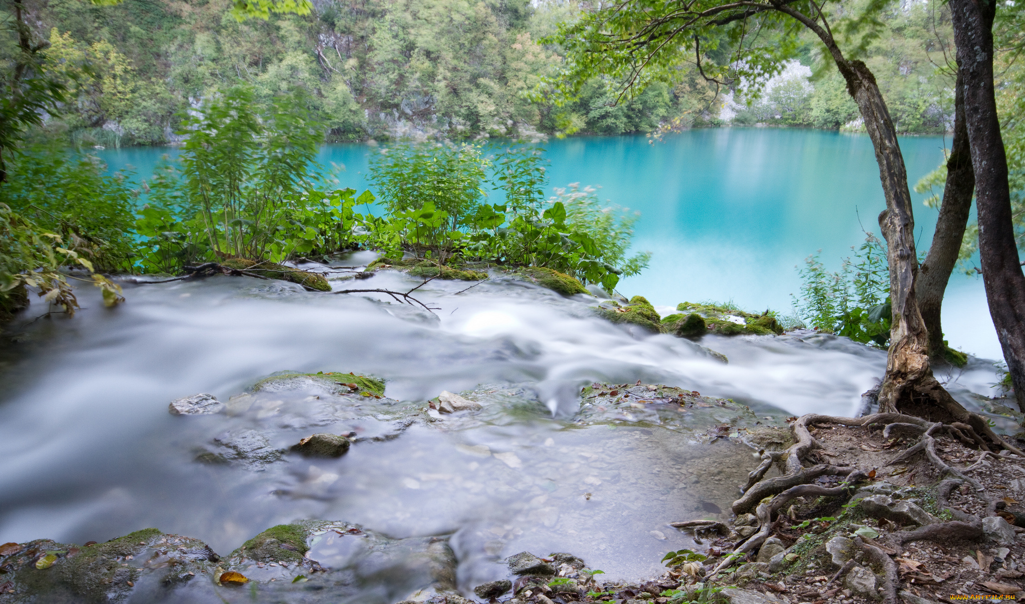 природа, реки, озера, растительность, ручей, река