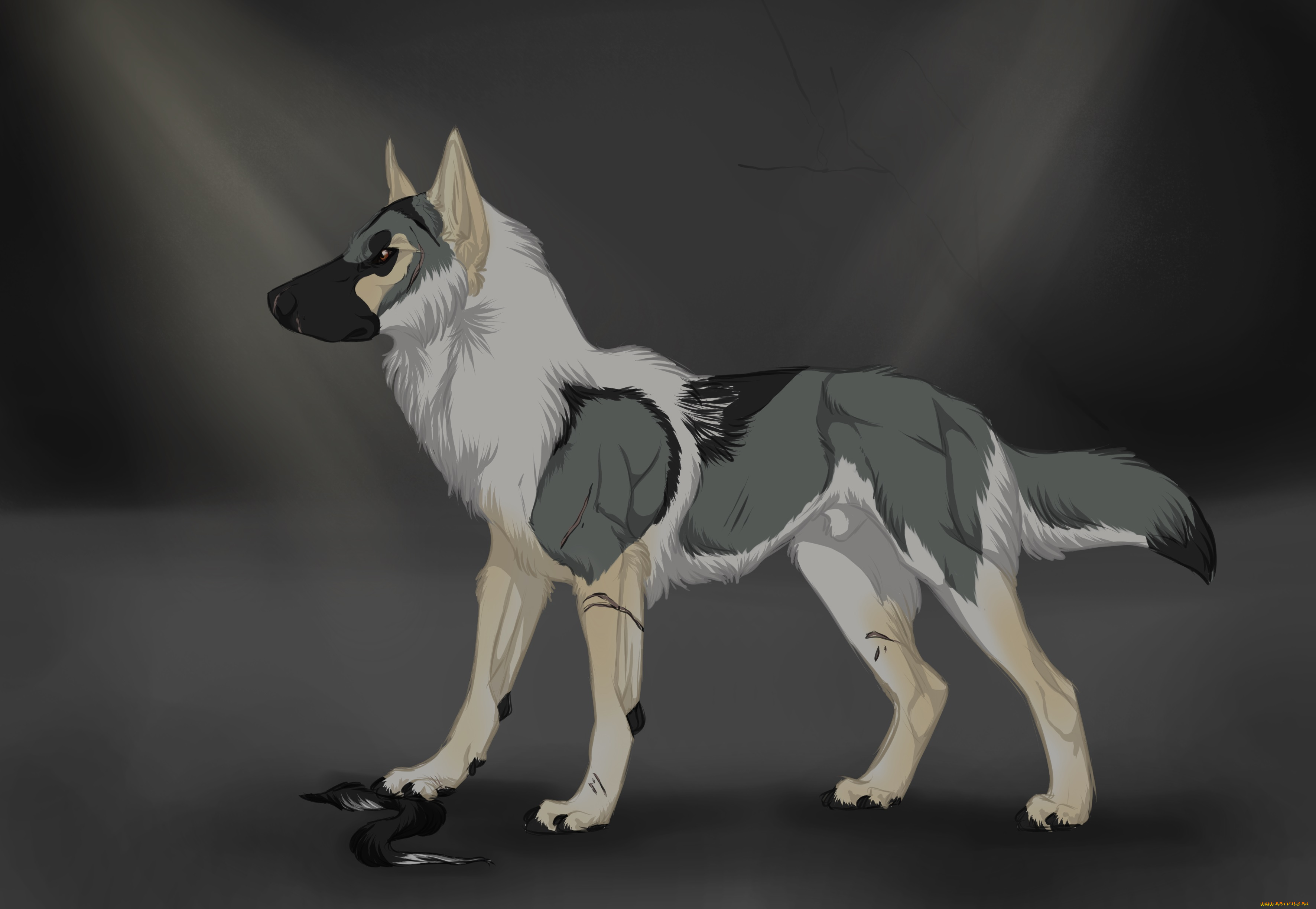 рисованные, животные, , собаки, собака