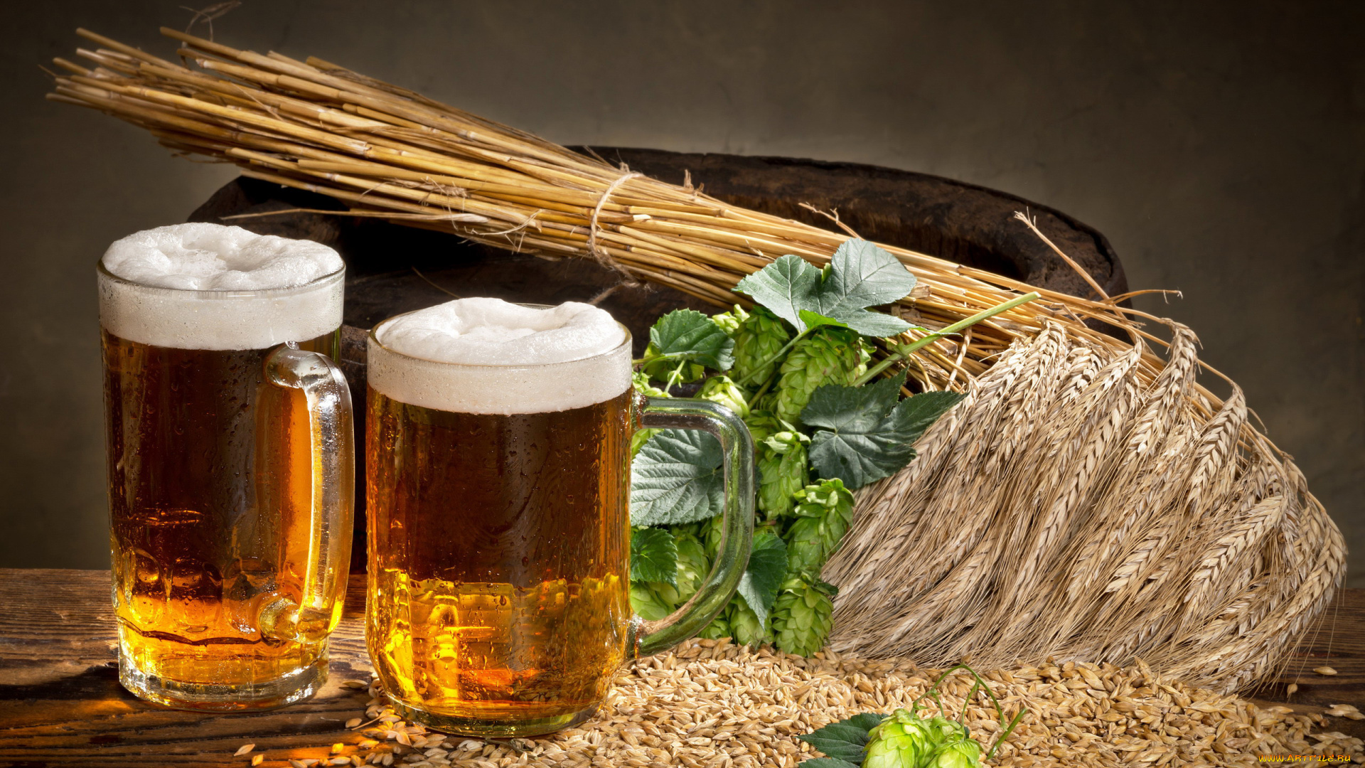еда, напитки, , пиво, бокалы, зерна, хмель, напиток