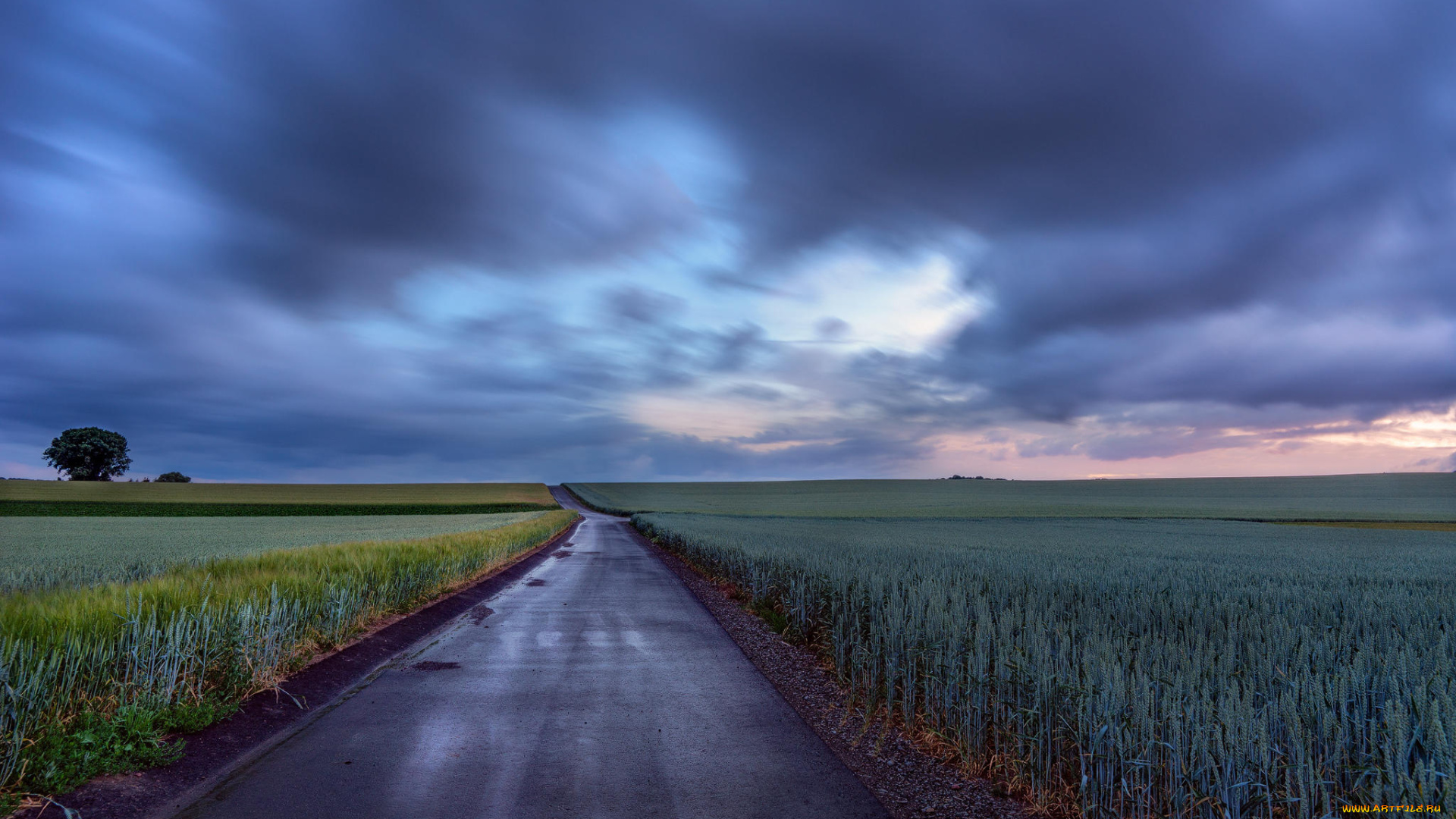 природа, дороги, поле, дорога