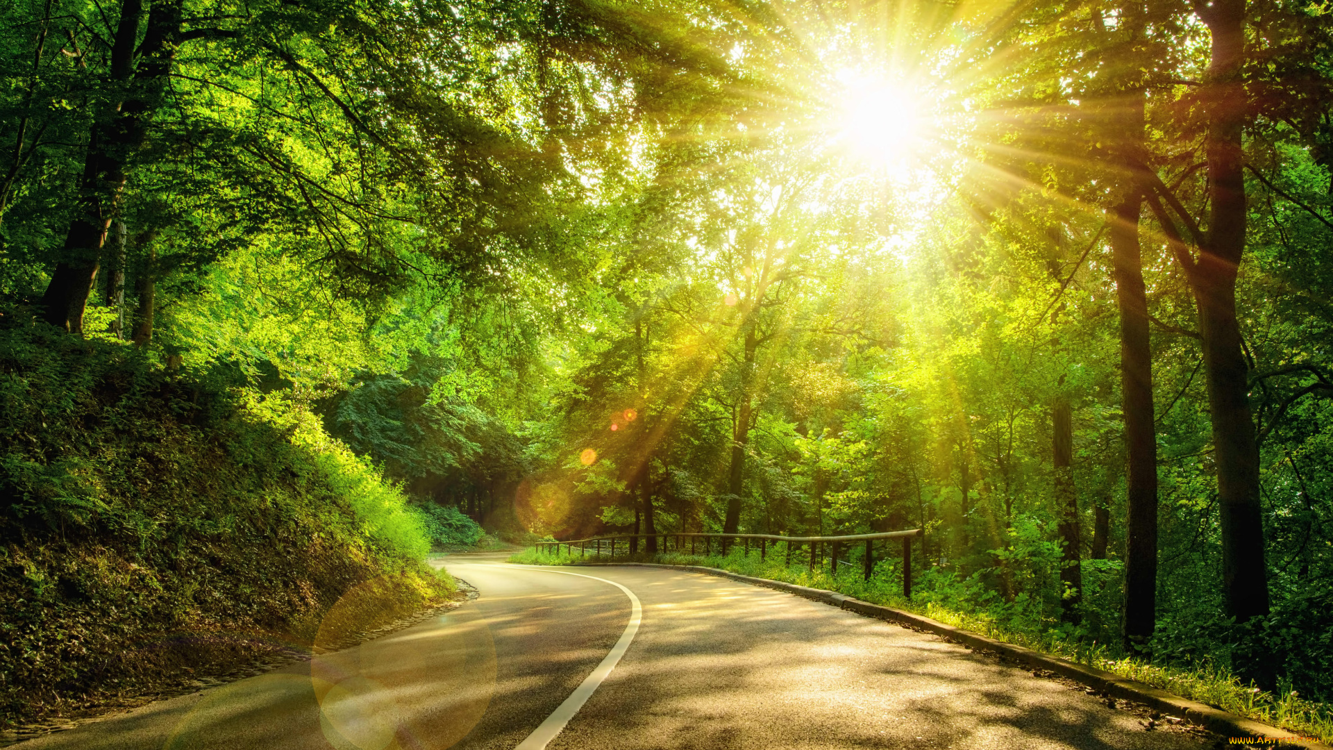 природа, дороги, солнце, солнечные, лучи, деревья, дорога, лес