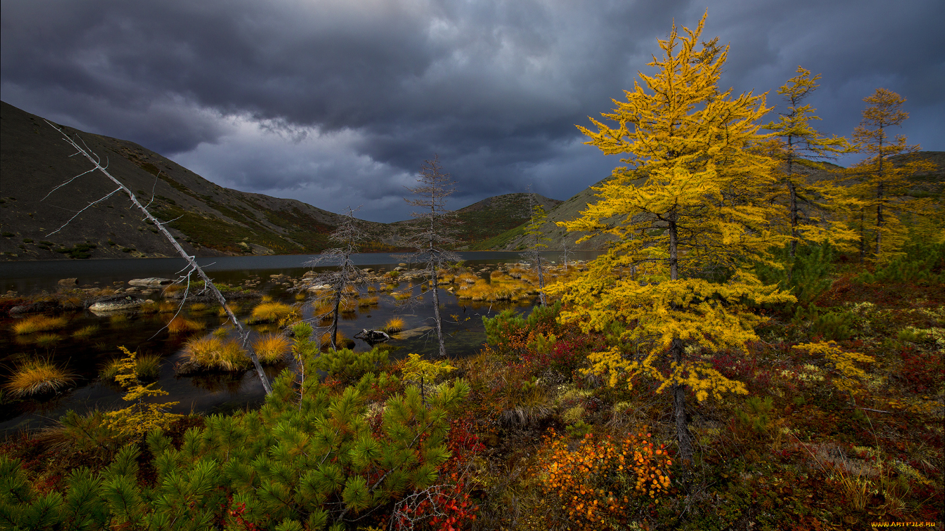 природа, горы, без, комментариев