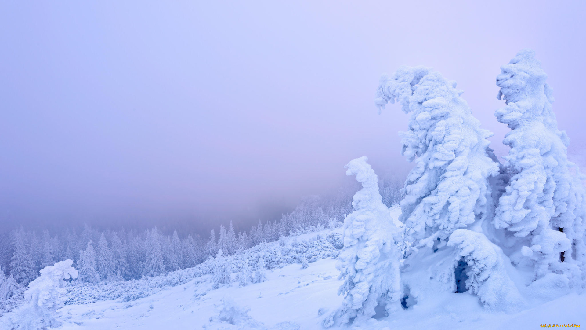 природа, горы, деревья, Чахлэу, зима, румыния