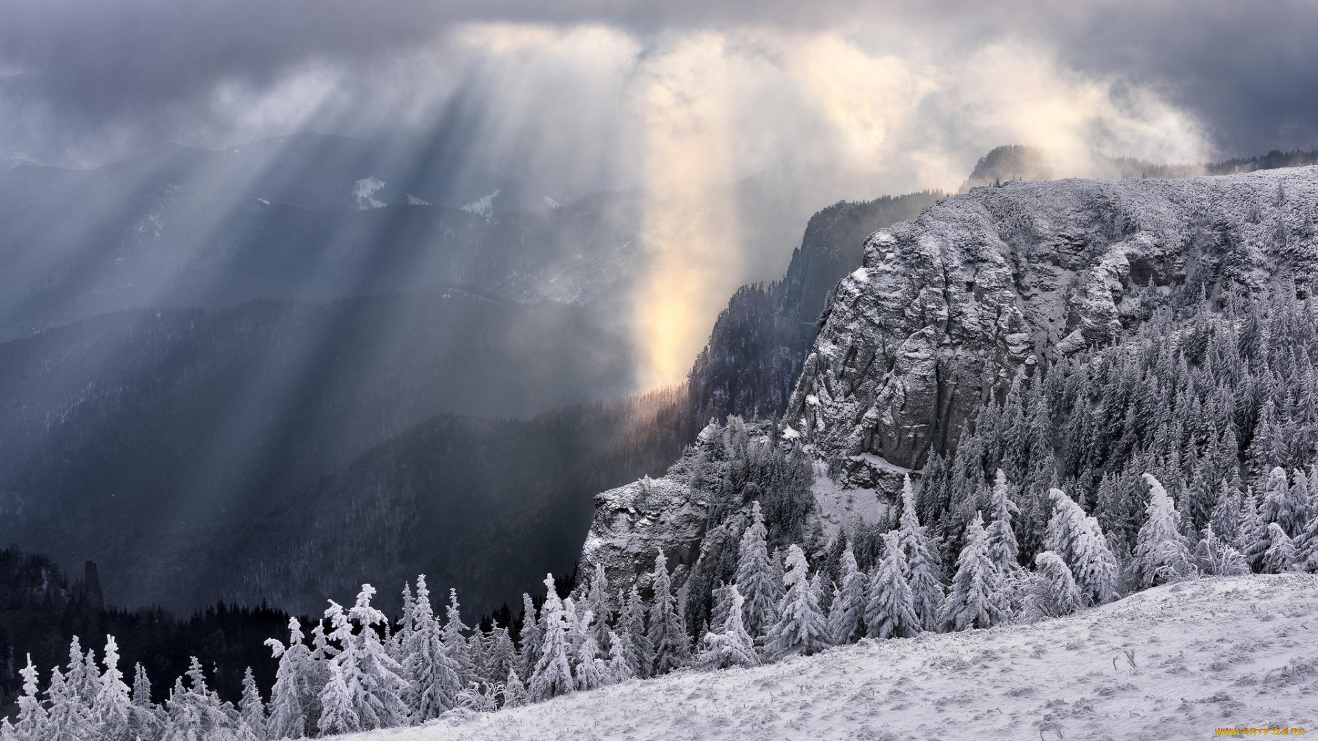 природа, горы, деревья, зима, румыния, Чахлэу