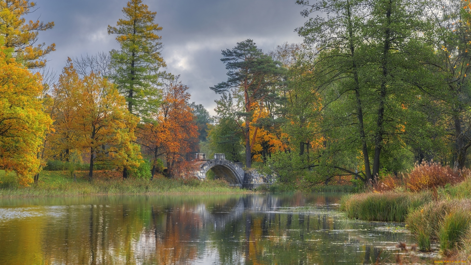 природа, парк, мост