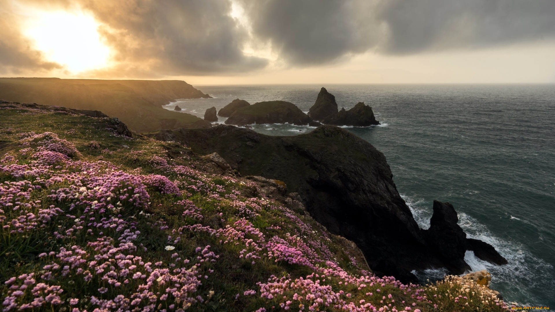 природа, побережье, цветы, облака, вода, скалы