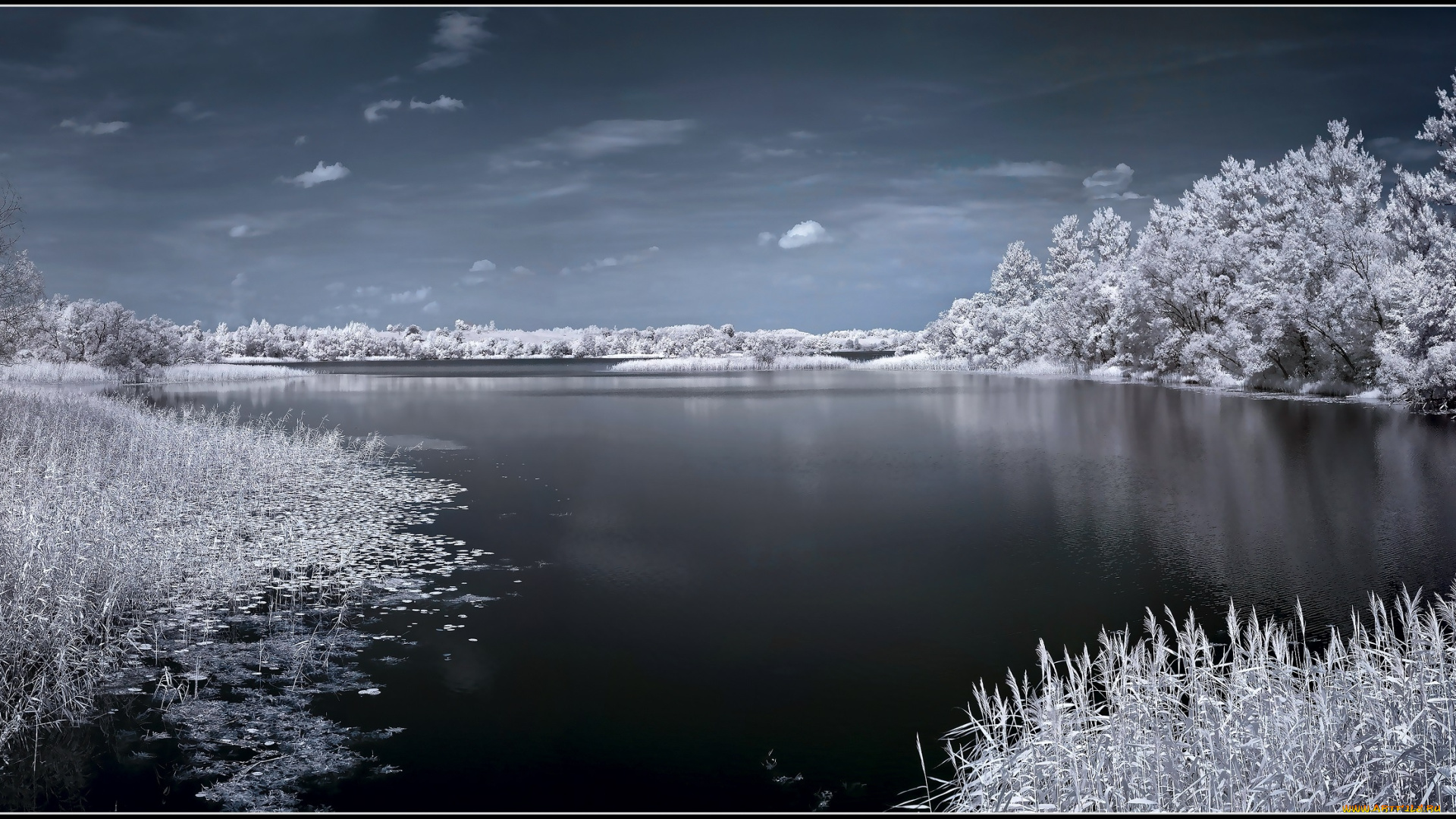 природа, реки, озера, снег, деревья, озеро, иней