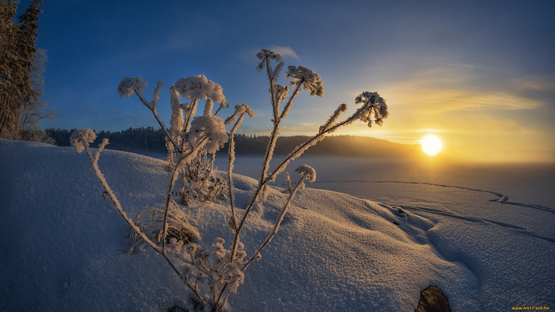 природа, зима, рассвет