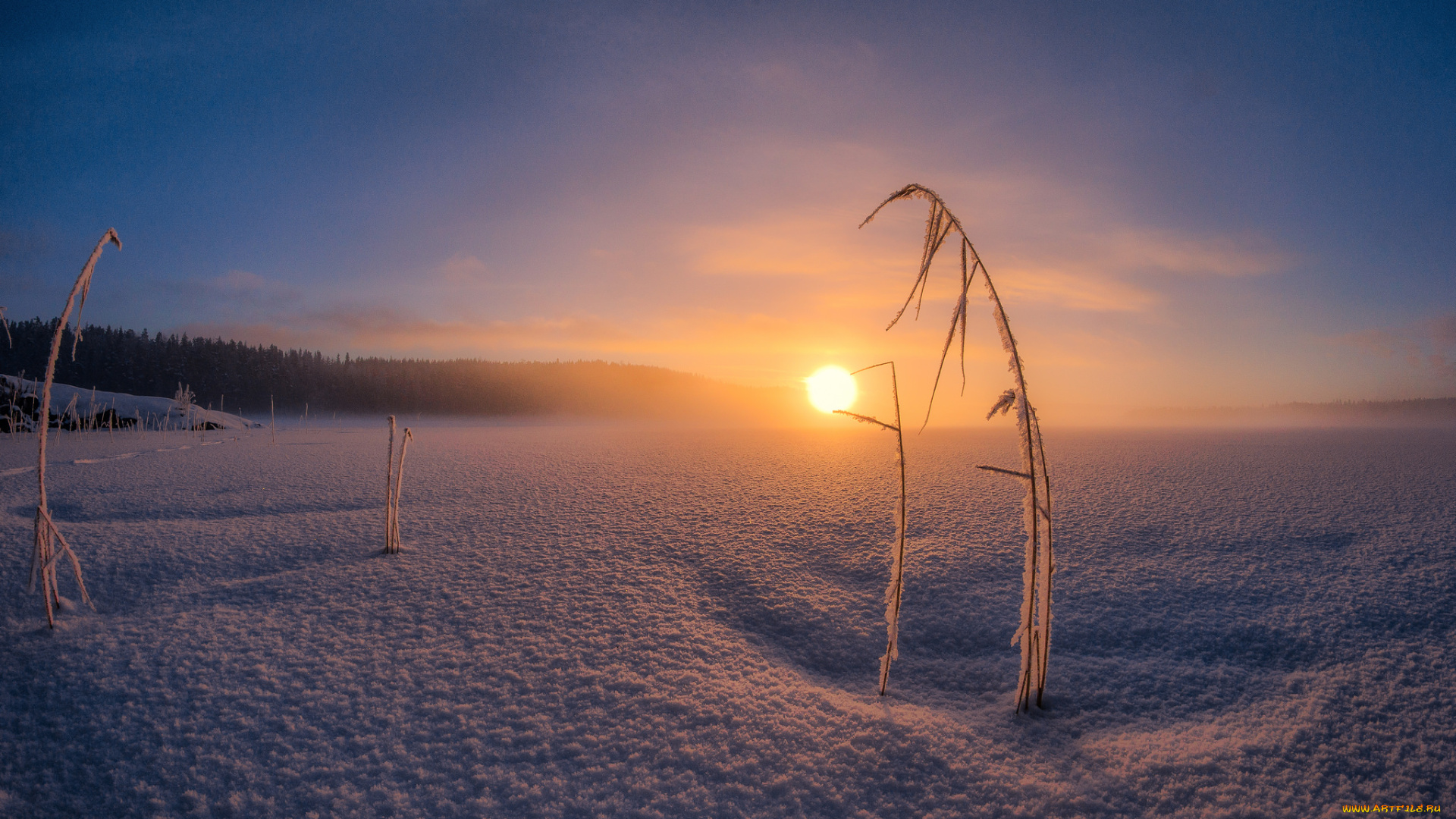 природа, зима, рассвет