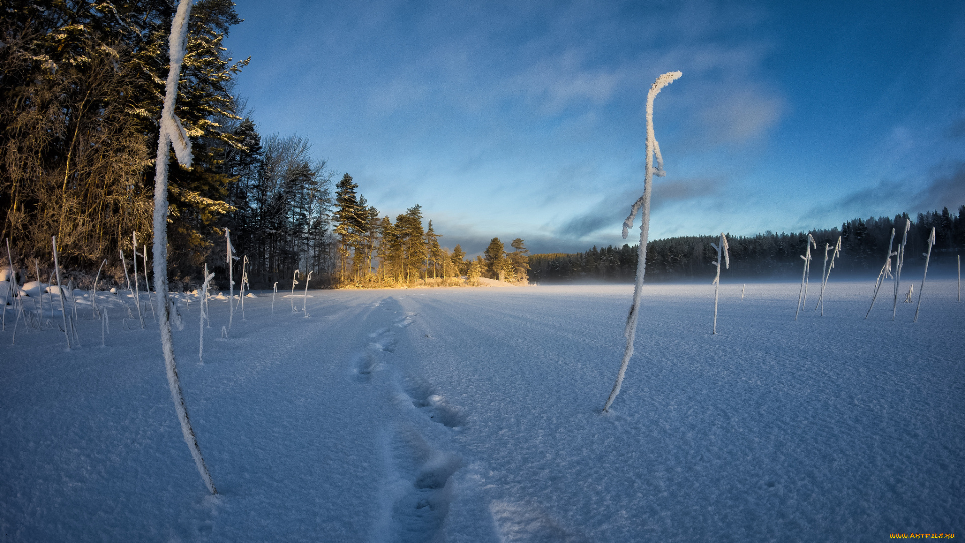 природа, зима, снег