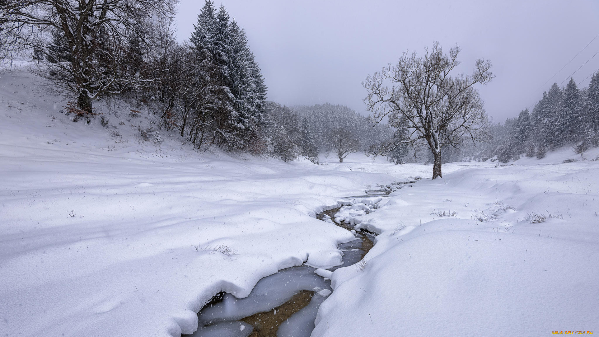 природа, зима, снег, деревья