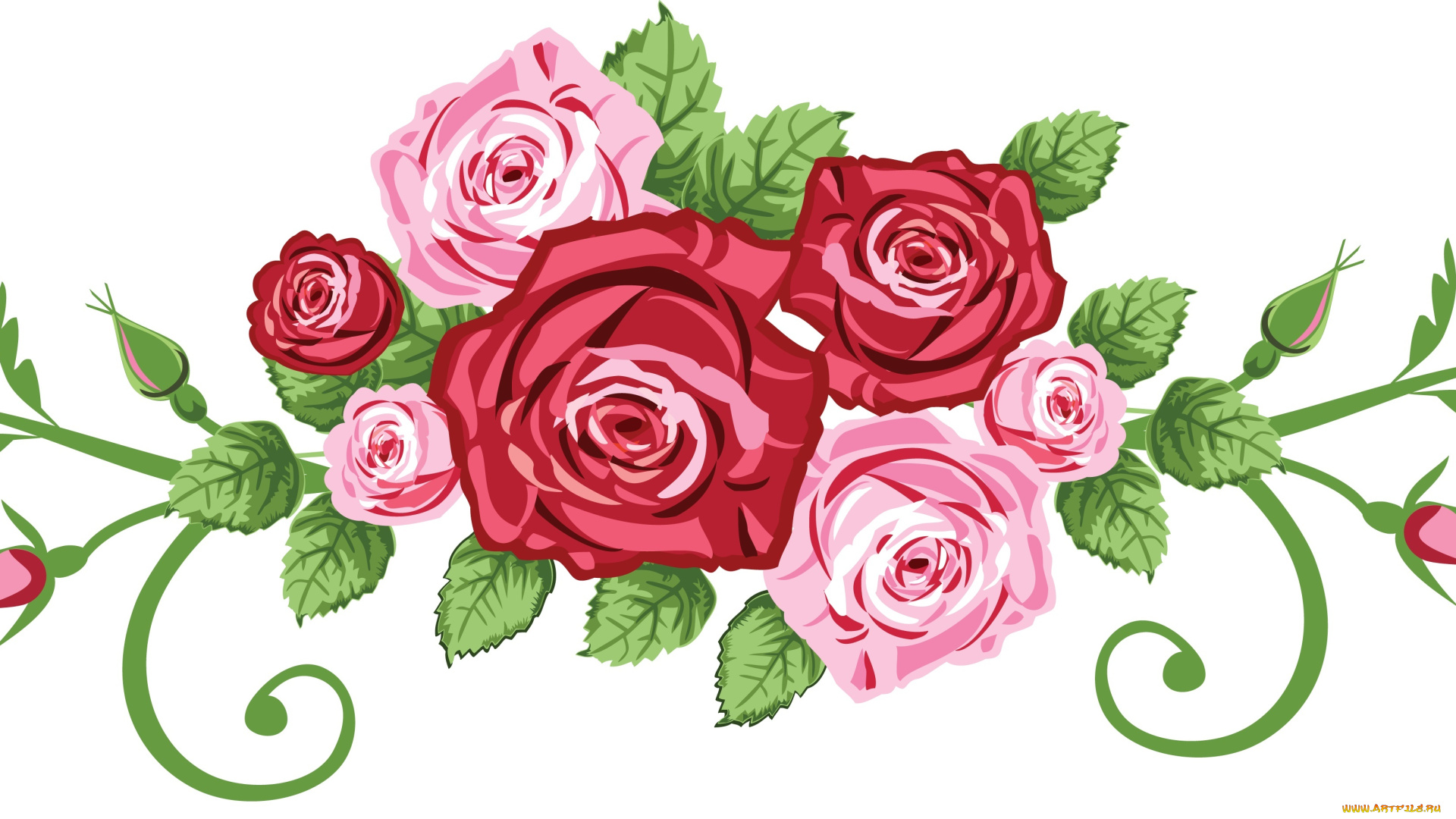 векторная, графика, цветы, , flowers, фон, цветы