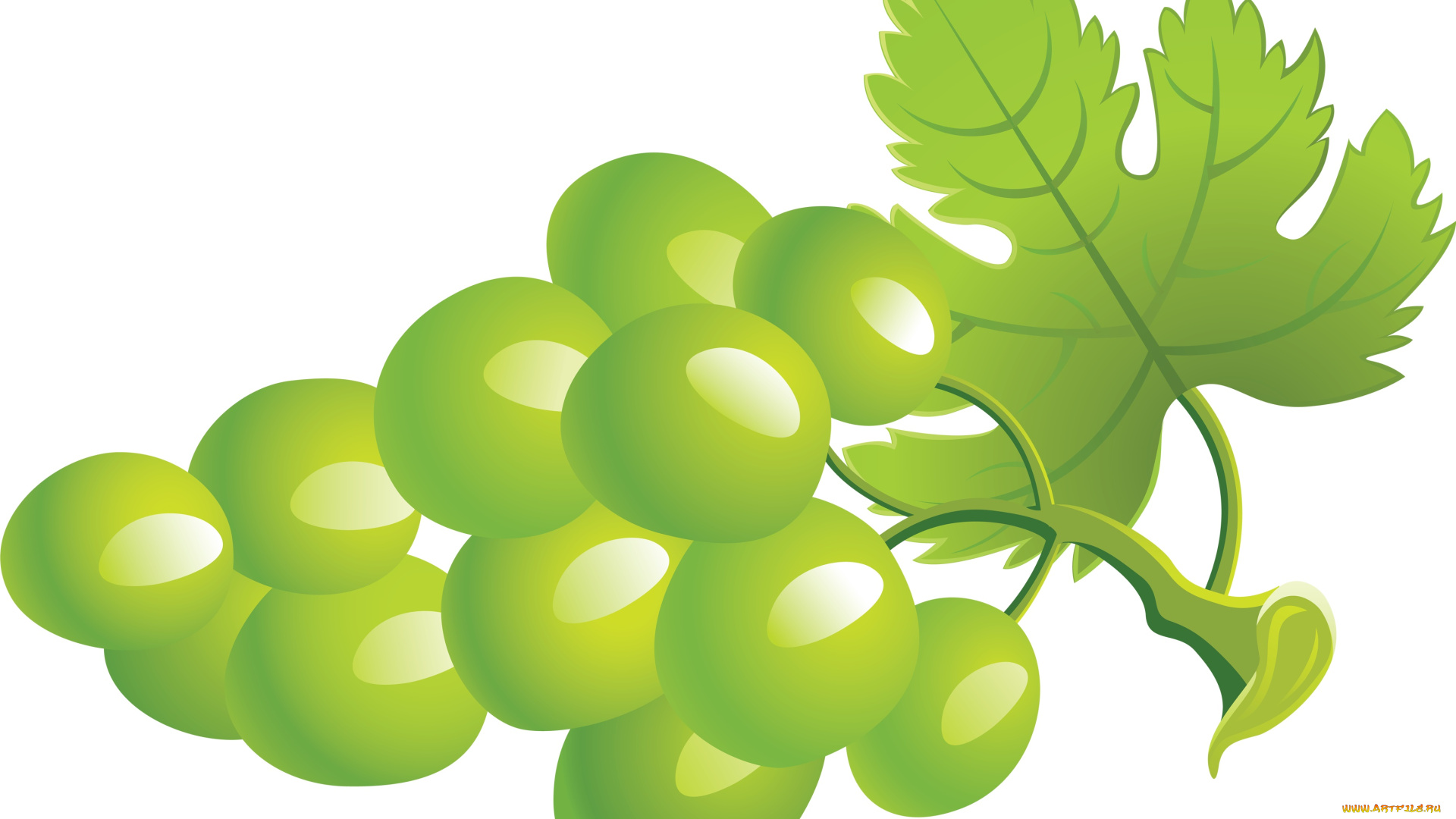 векторная, графика, еда, , food, гроздь, виноград