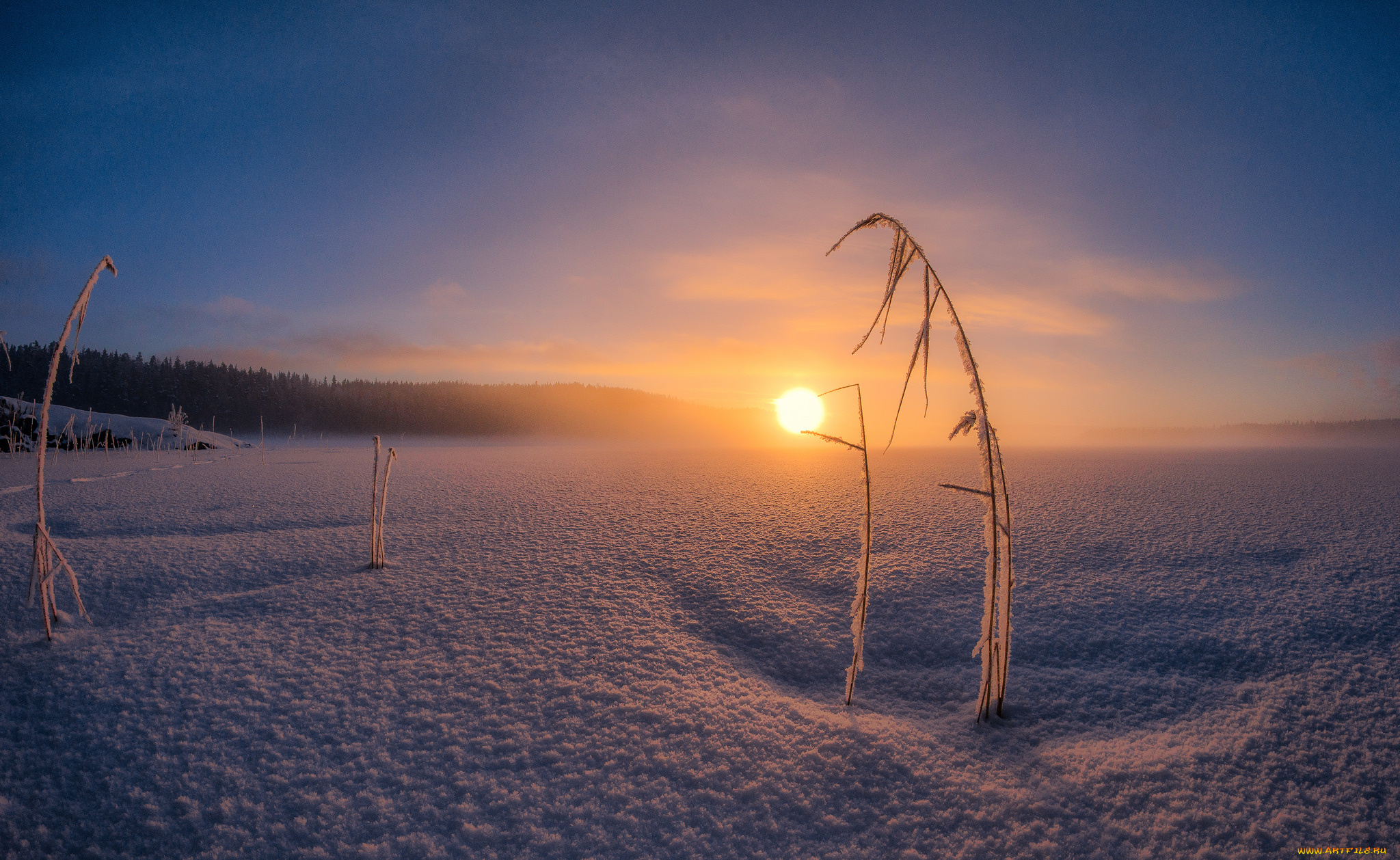 природа, зима, рассвет