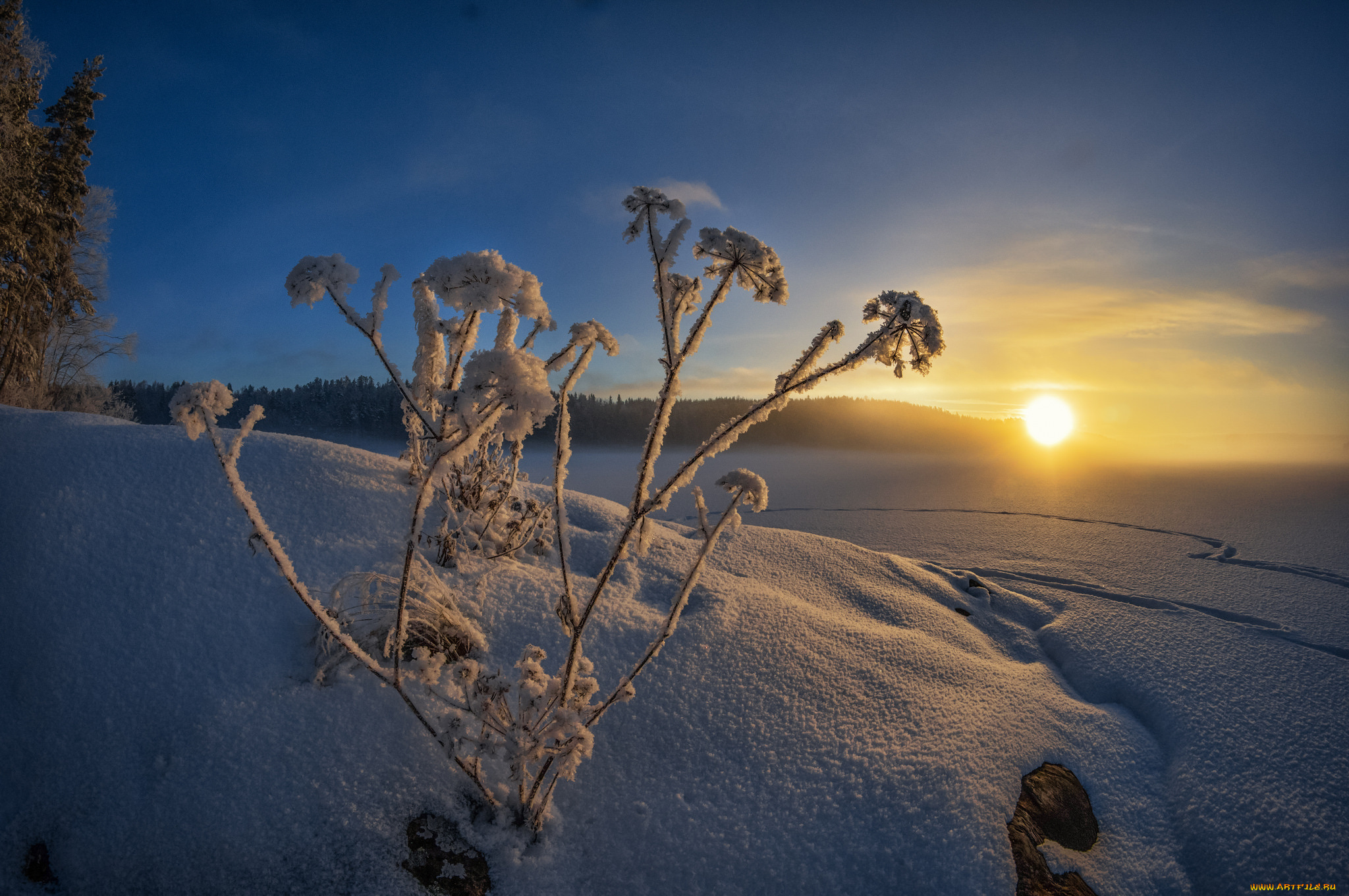 природа, зима, рассвет