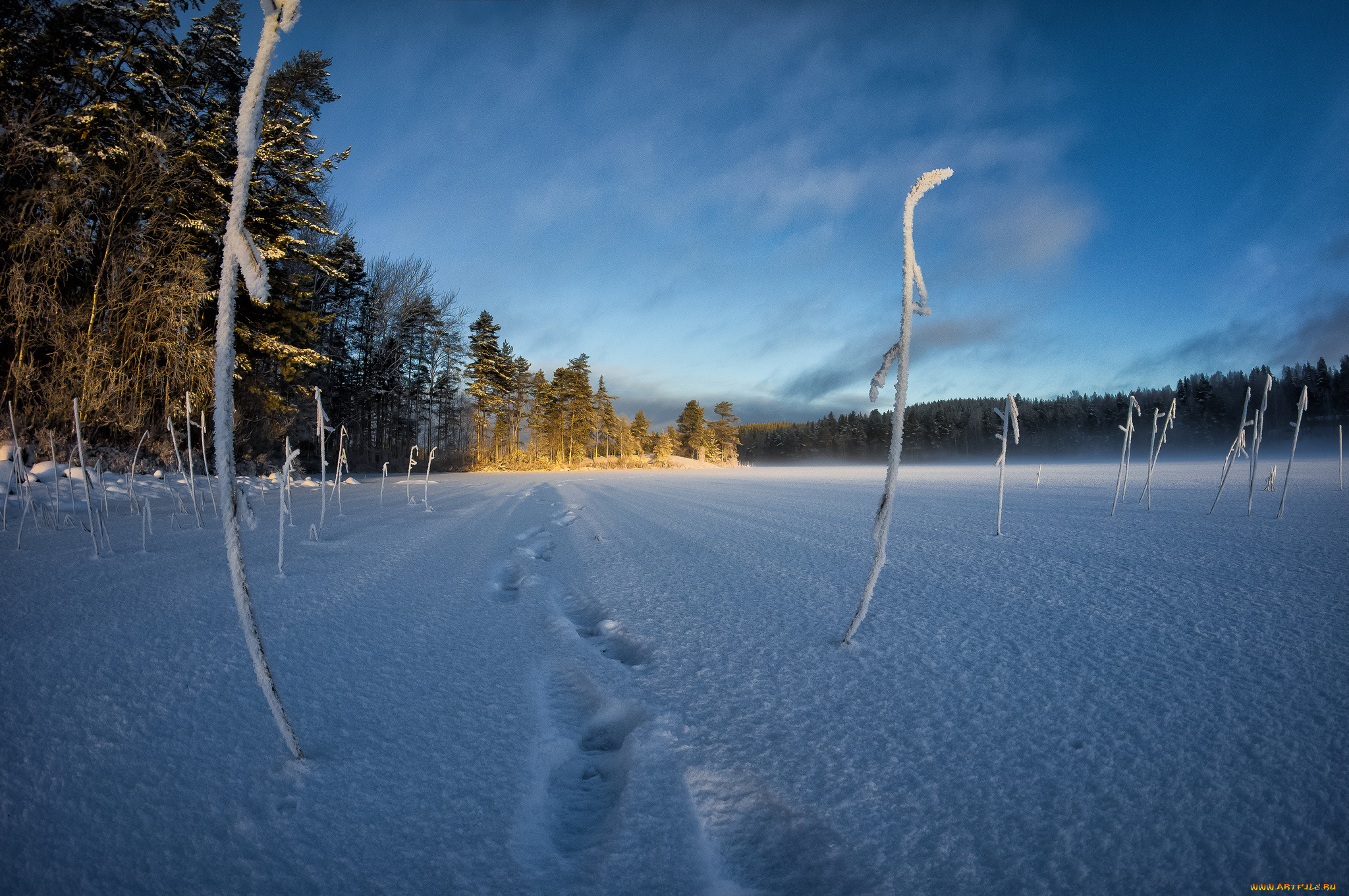 природа, зима, снег