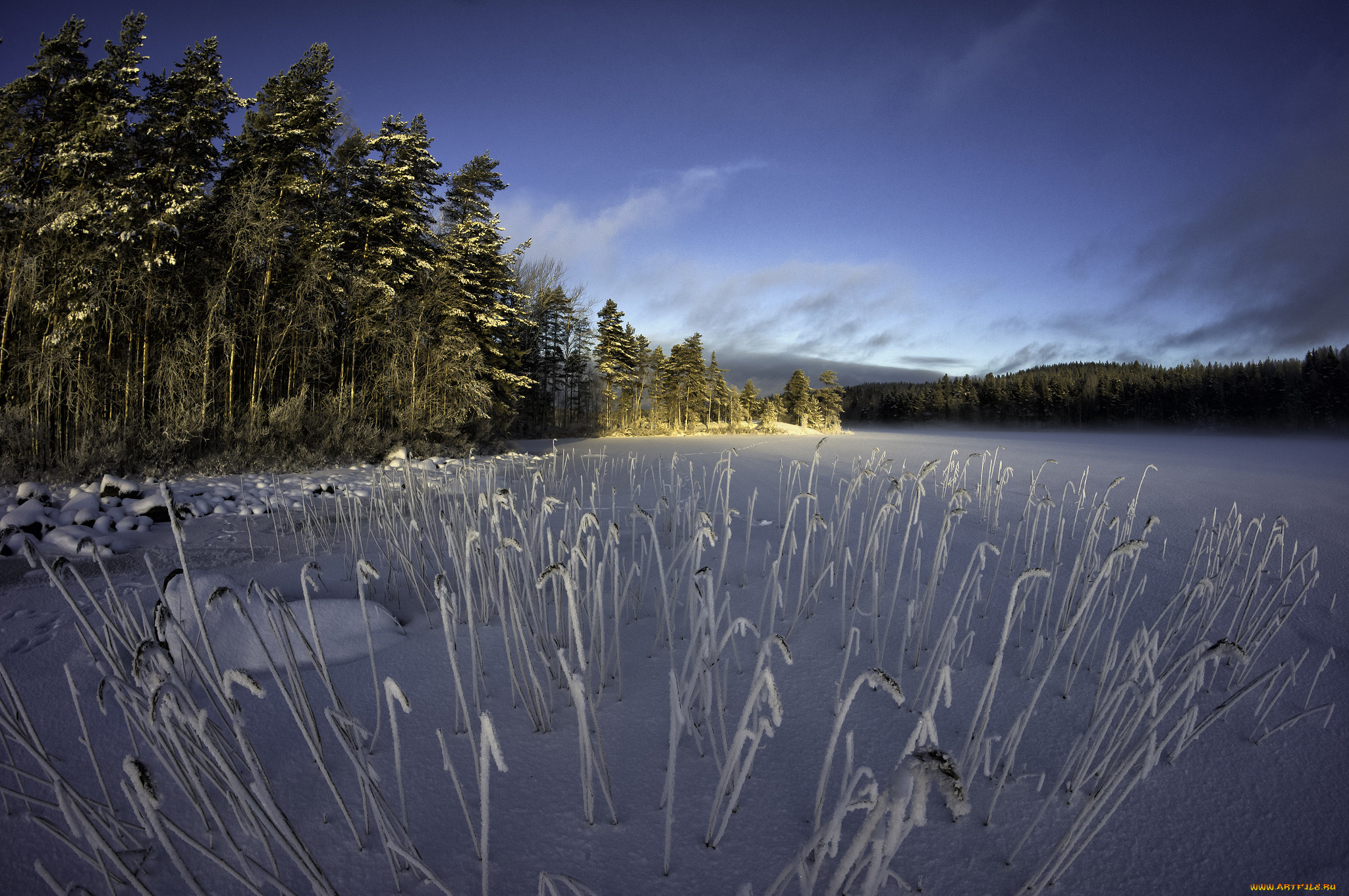 природа, зима, снег