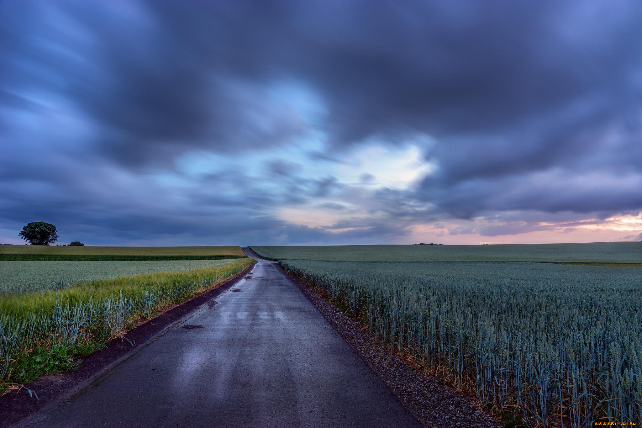природа, дороги, поле, дорога