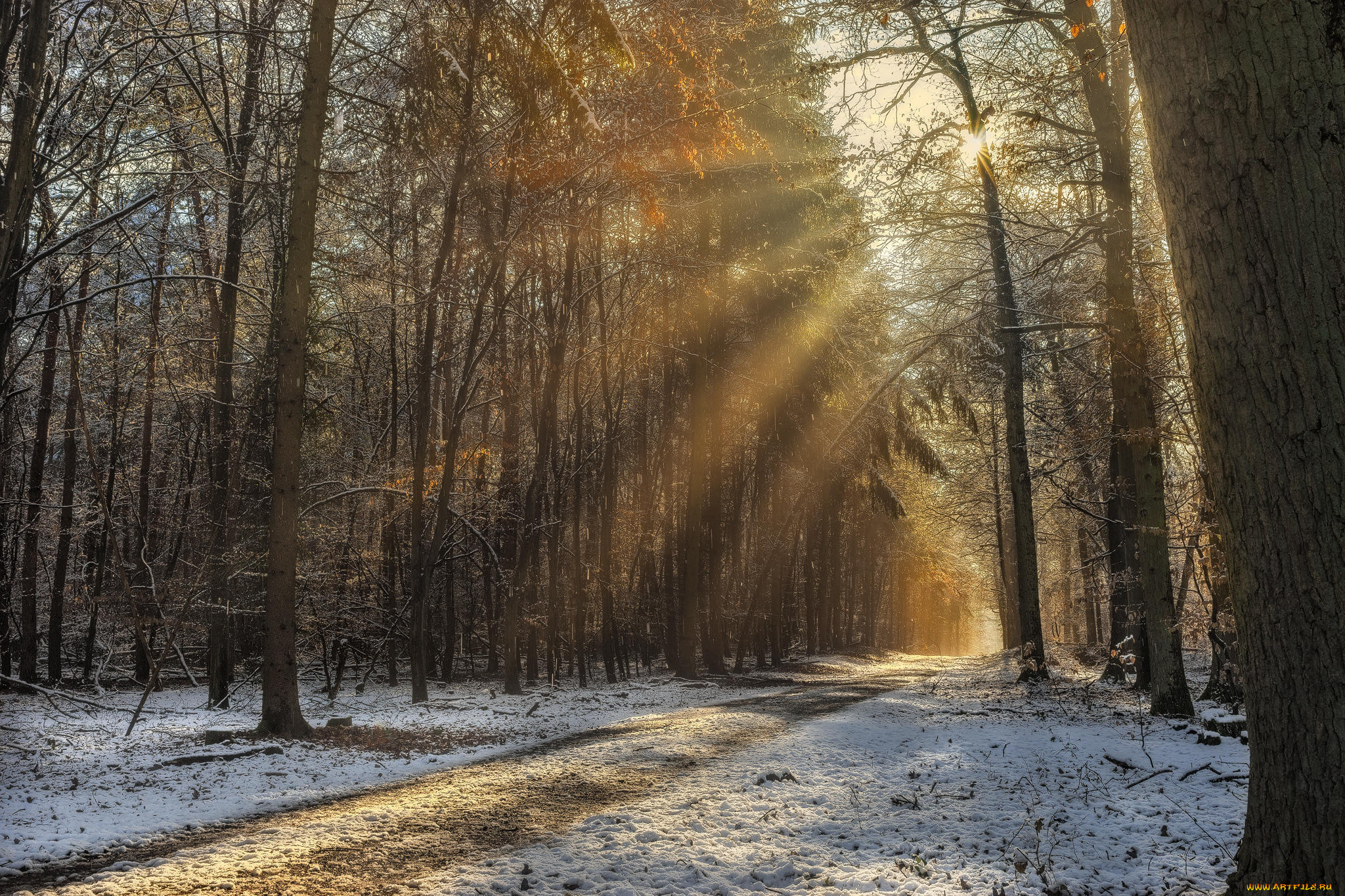 природа, дороги, снег, деревья