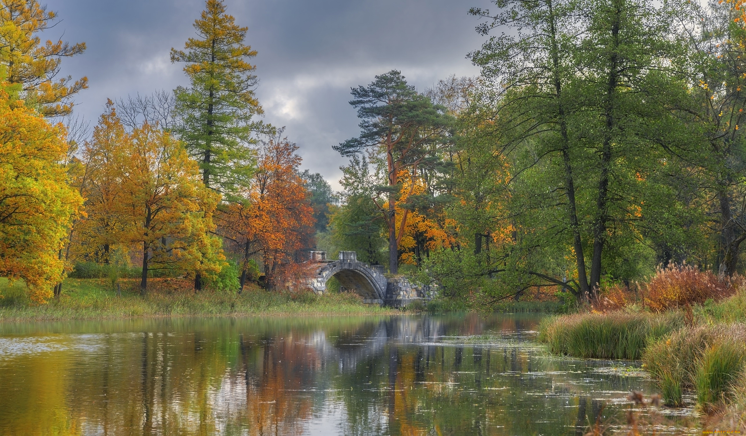 природа, парк, мост