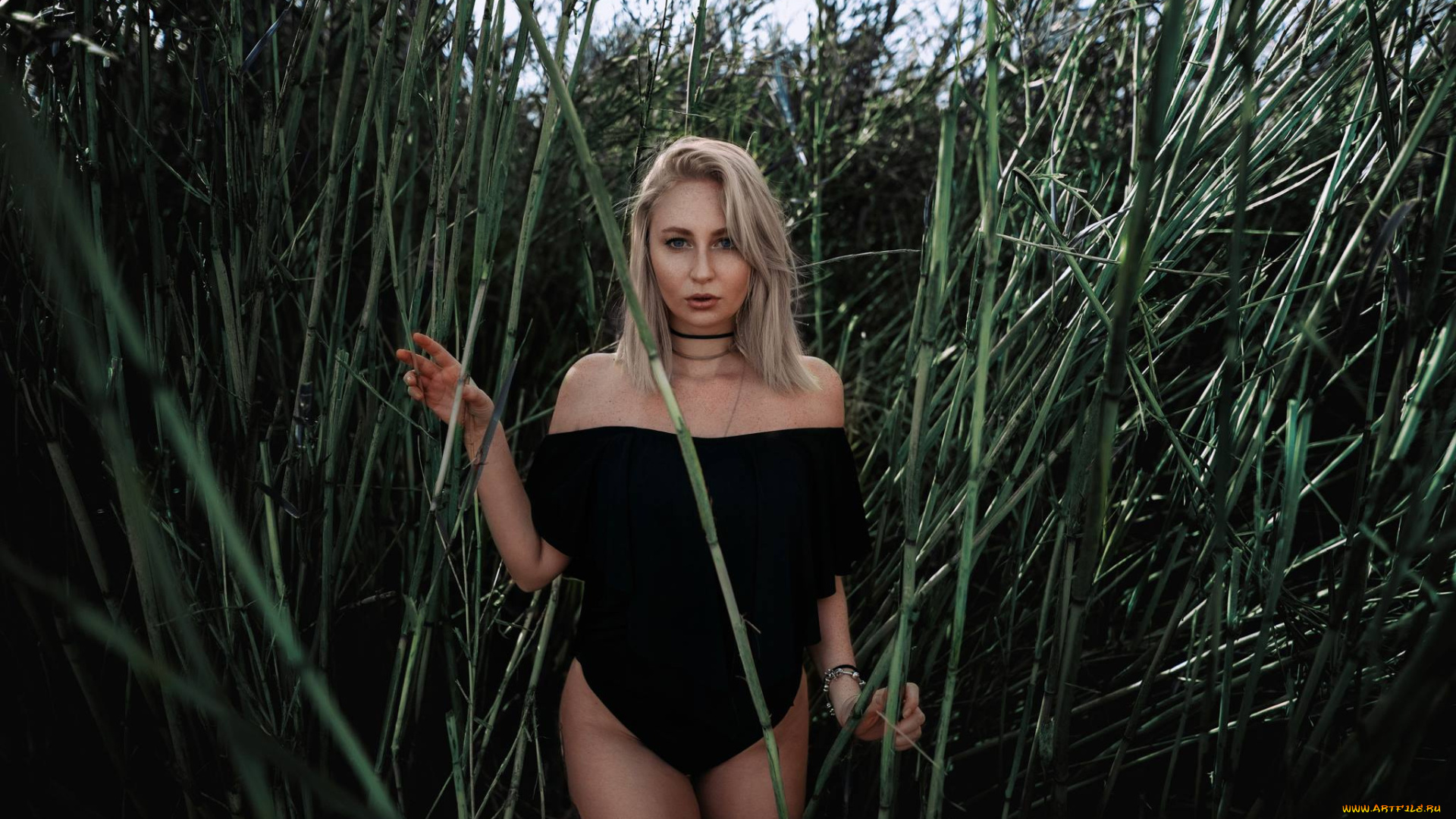 девушка, девушки, -unsort, , блондинки, , светловолосые, модель