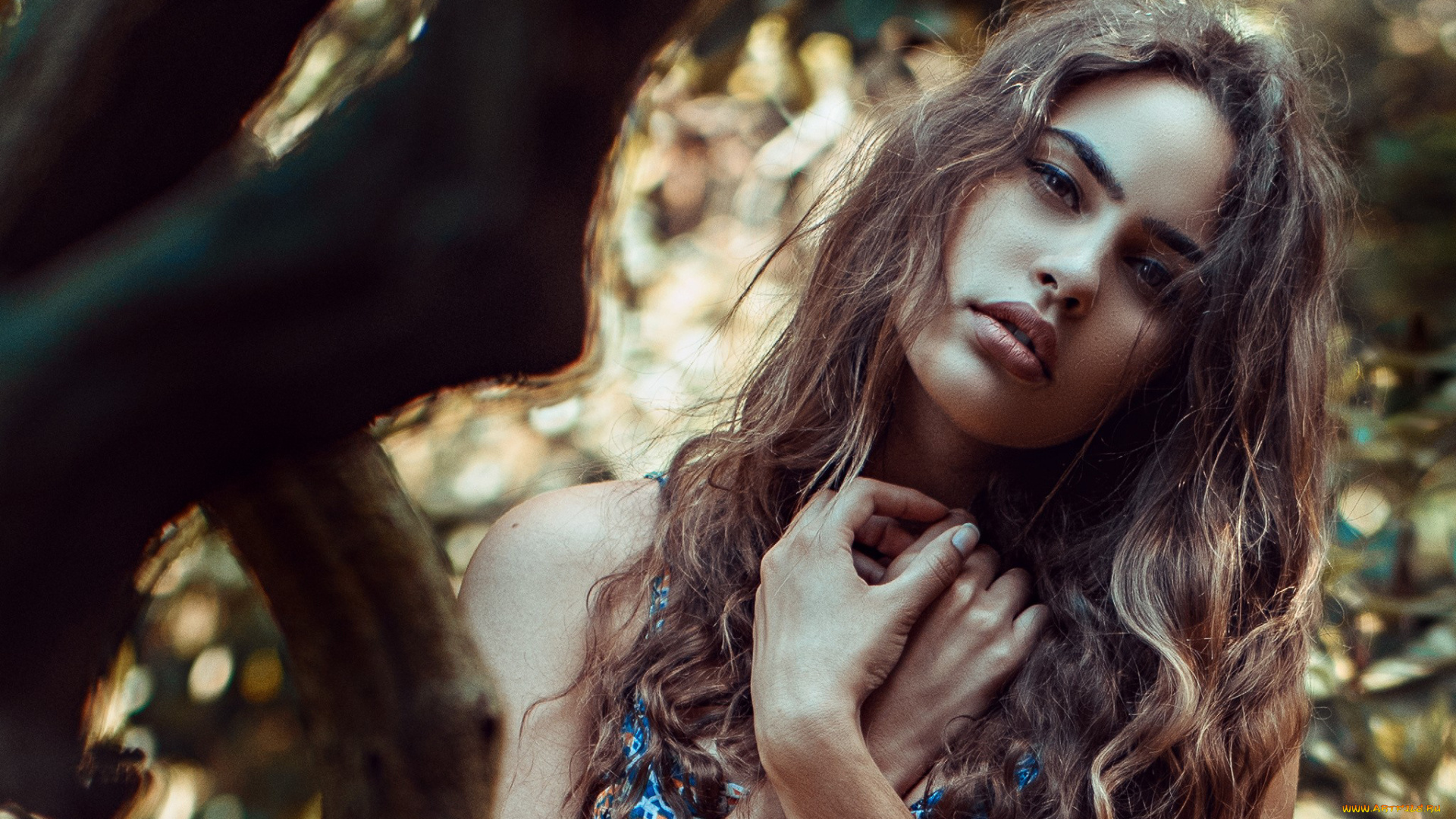 девушка, девушки, -unsort, , лица, , портреты, модель, sheila, sanko