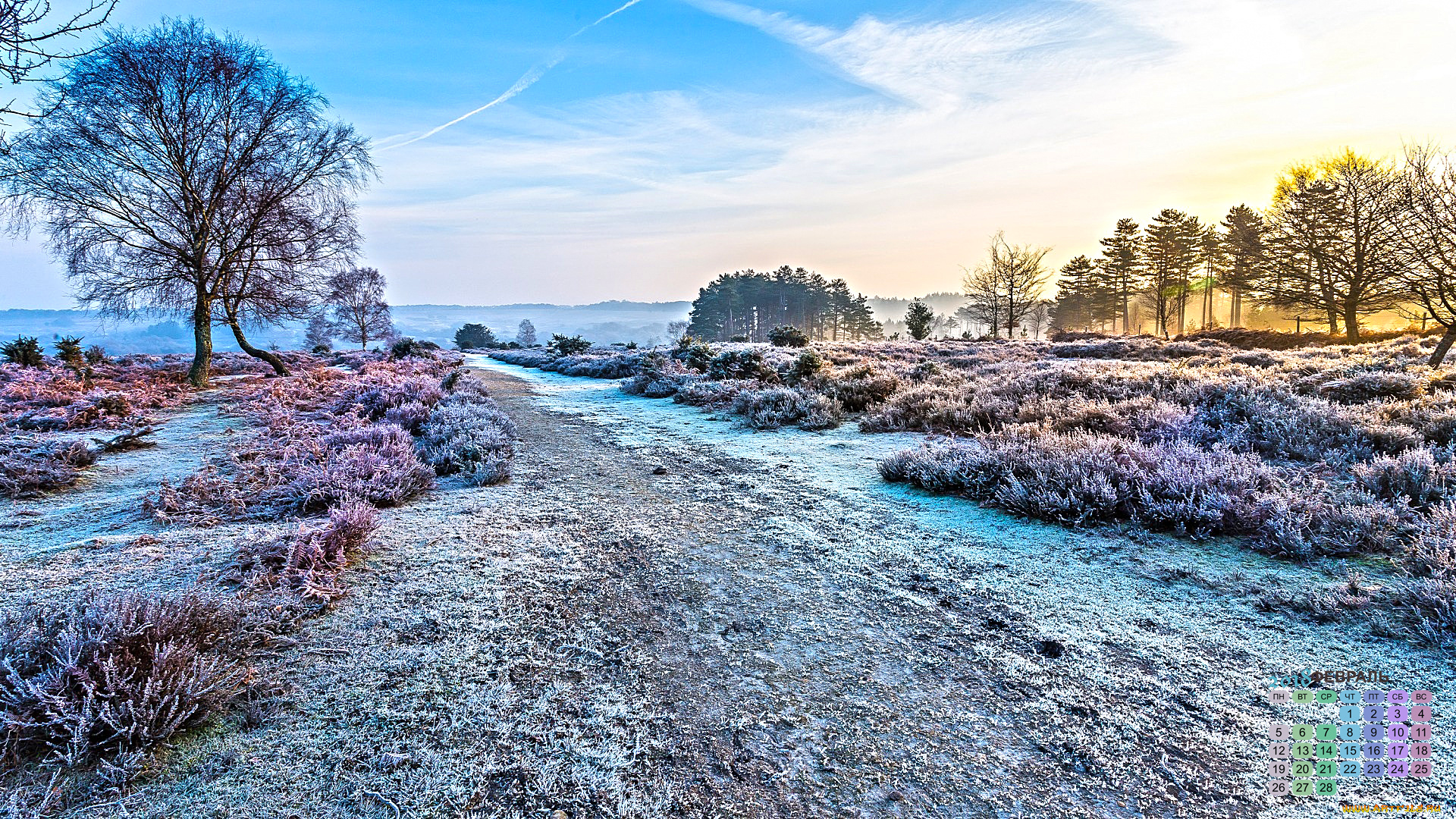 календари, природа, 2018, деревья, снег, дорога