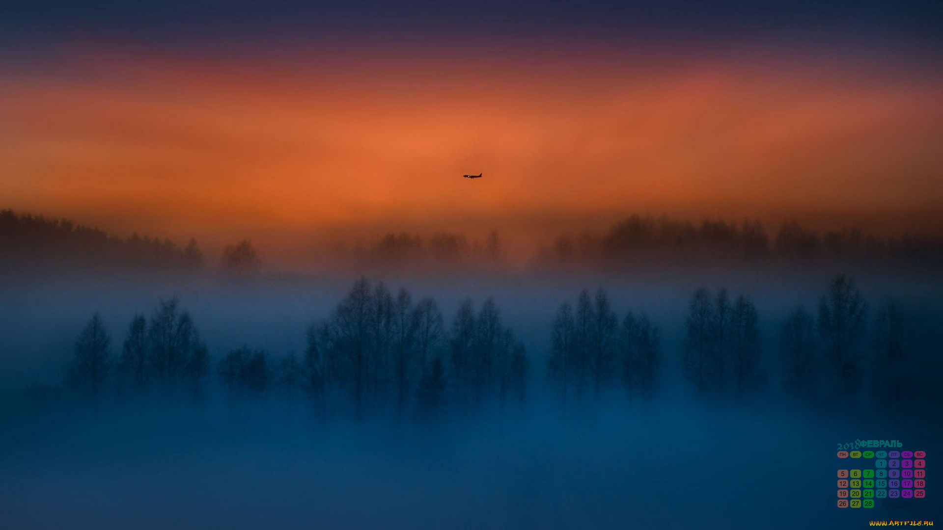 календари, природа, деревья, 2018, самолет, туман