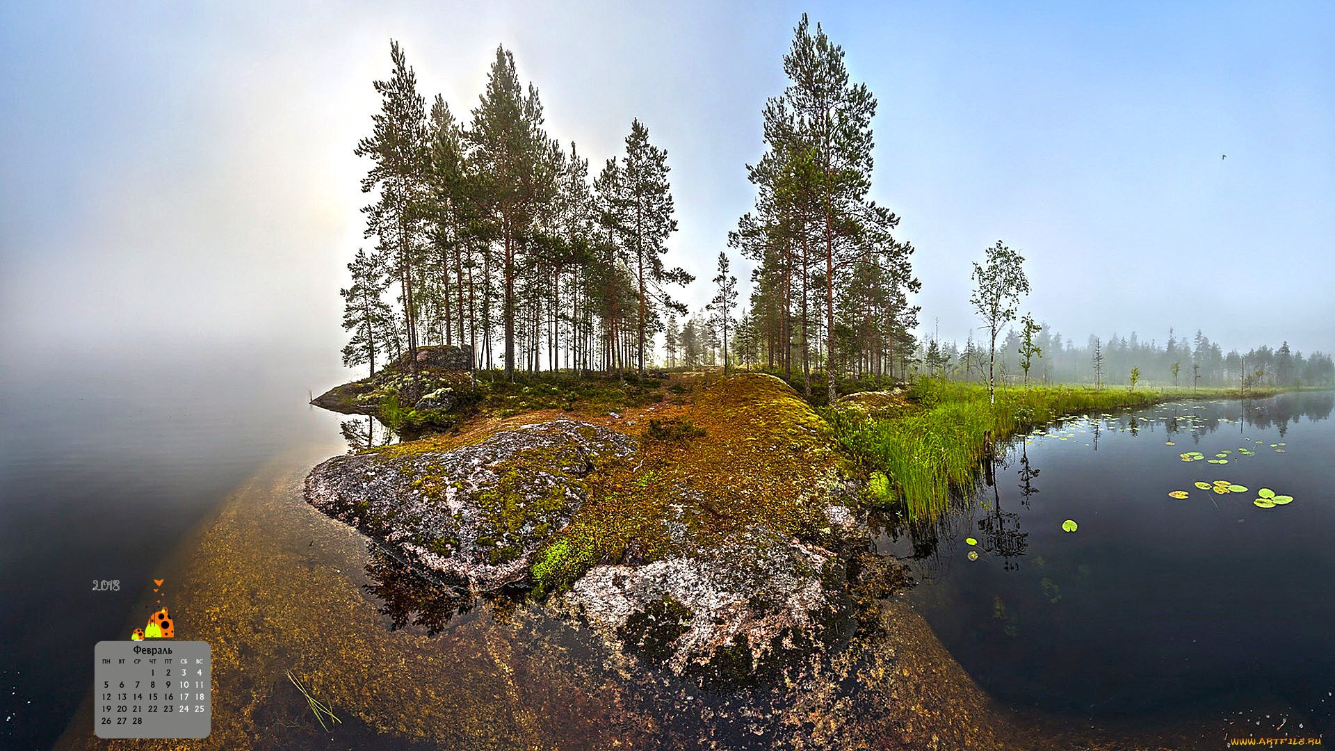 календари, природа, деревья, растения, водоем, 2018