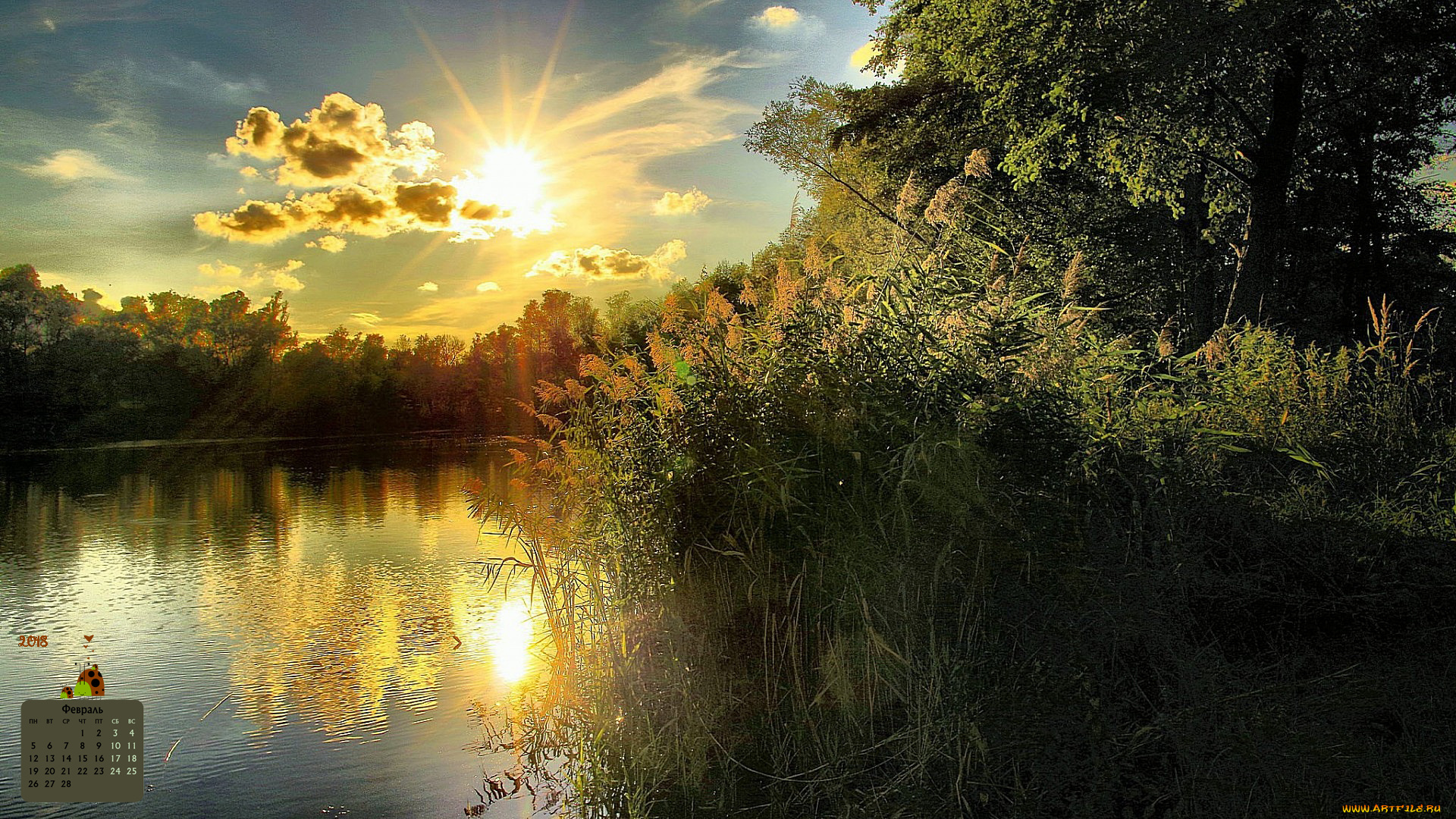 календари, природа, камыш, водоем, 2018, отражение, деревья