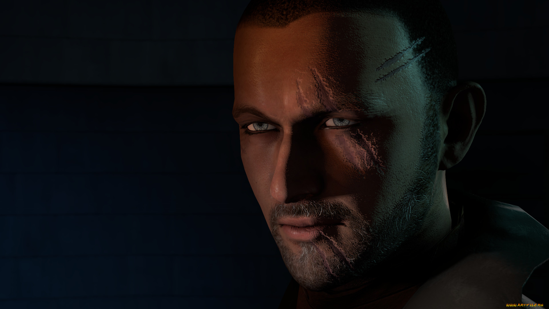 видео, игры, hunt, down, the, freeman, hunt, down, the, freeman