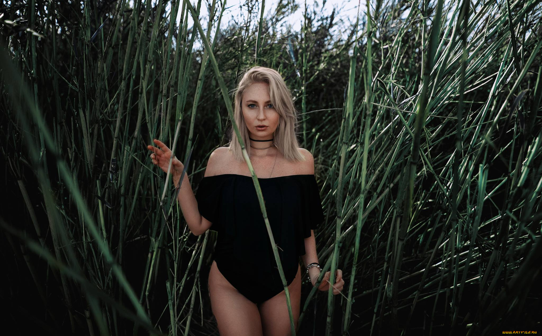 девушка, девушки, -unsort, , блондинки, , светловолосые, модель