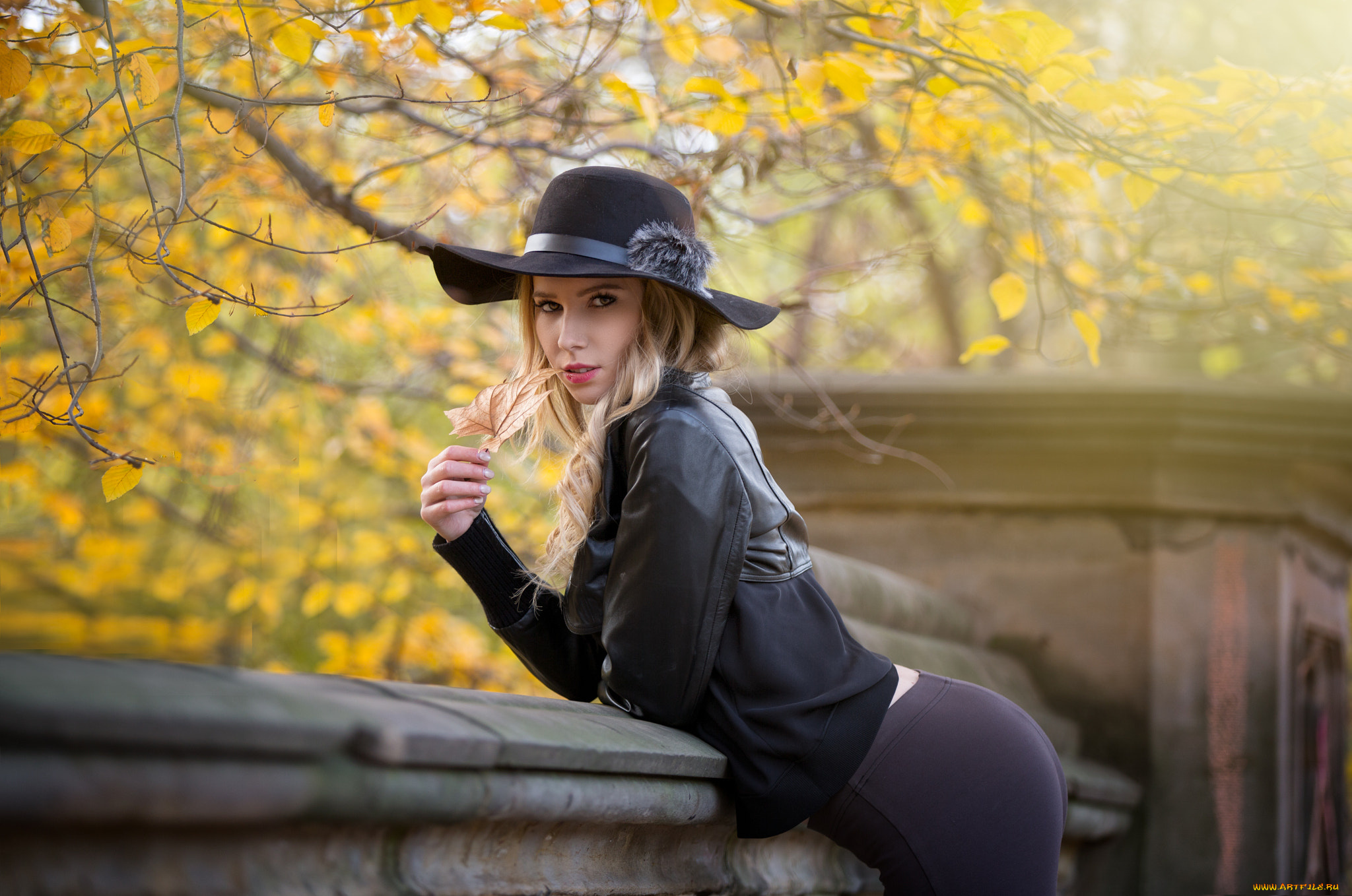 девушка, девушки, -unsort, , блондинки, , светловолосые, модель