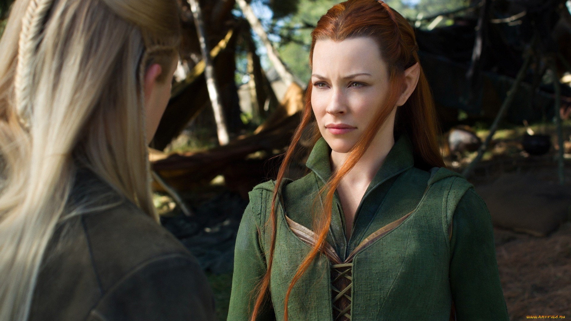 кино, фильмы, the, hobbit, , the, battle, of, the, five, armies, эльфы, разговор