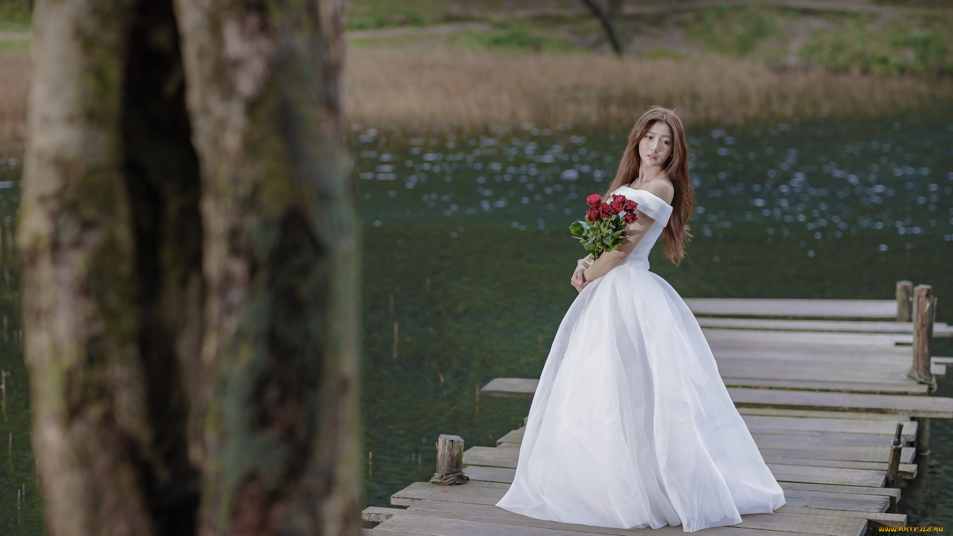 девушки, -, азиатки, розы, букет, азиатка, невеста