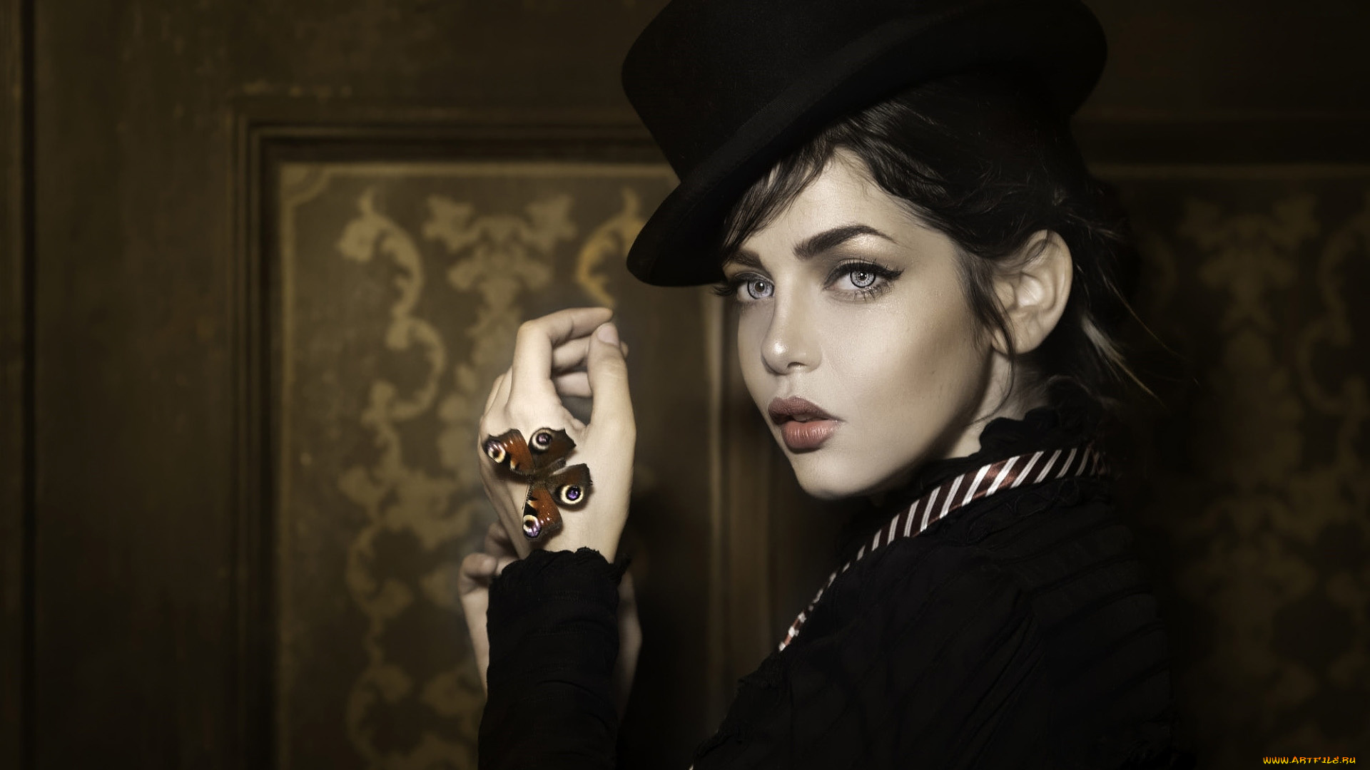 девушки, -, лица, , портреты, профиль, брюнетка, шляпа, бабочка