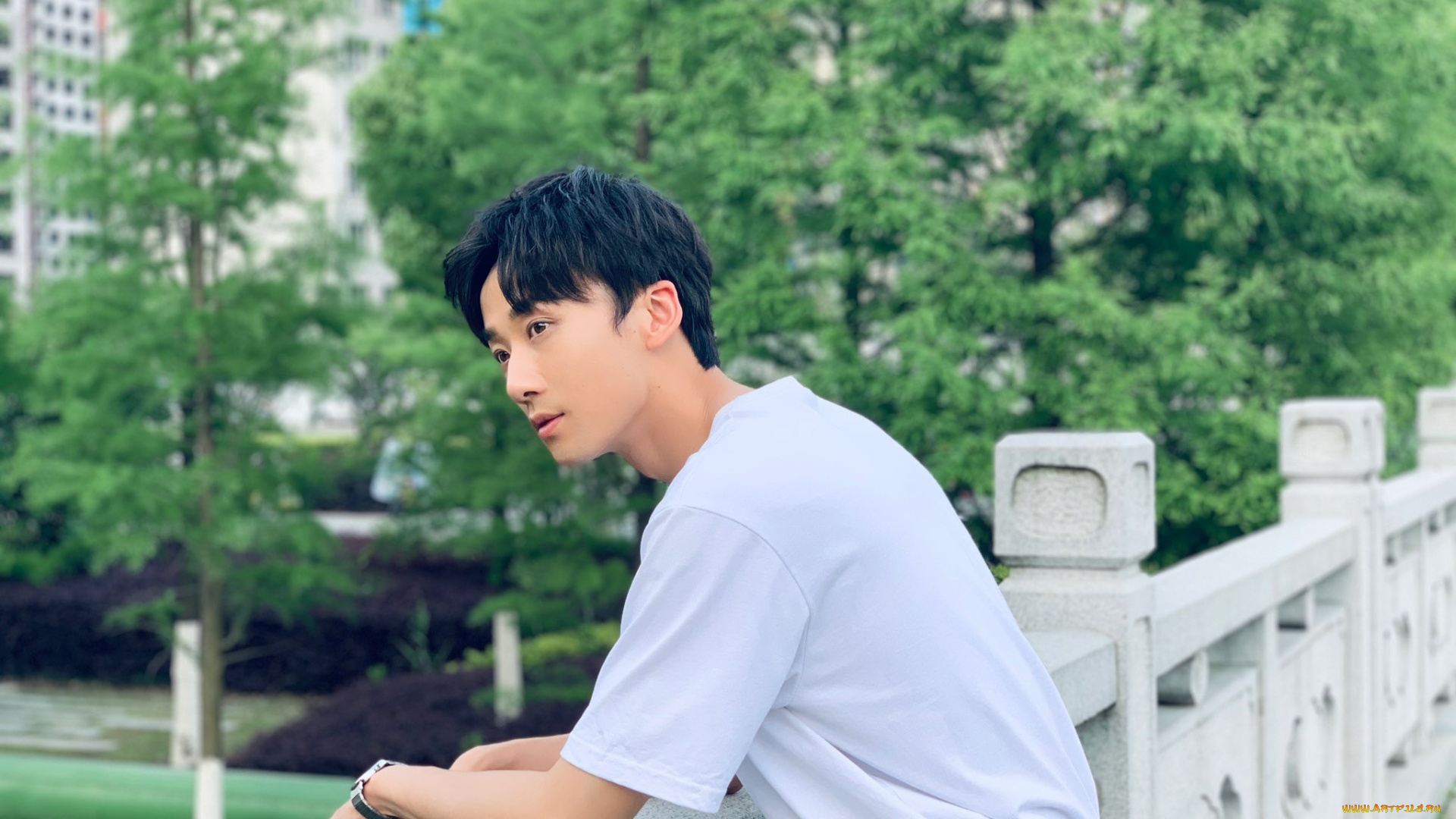 мужчины, li, bo, wen, li, bo, wen