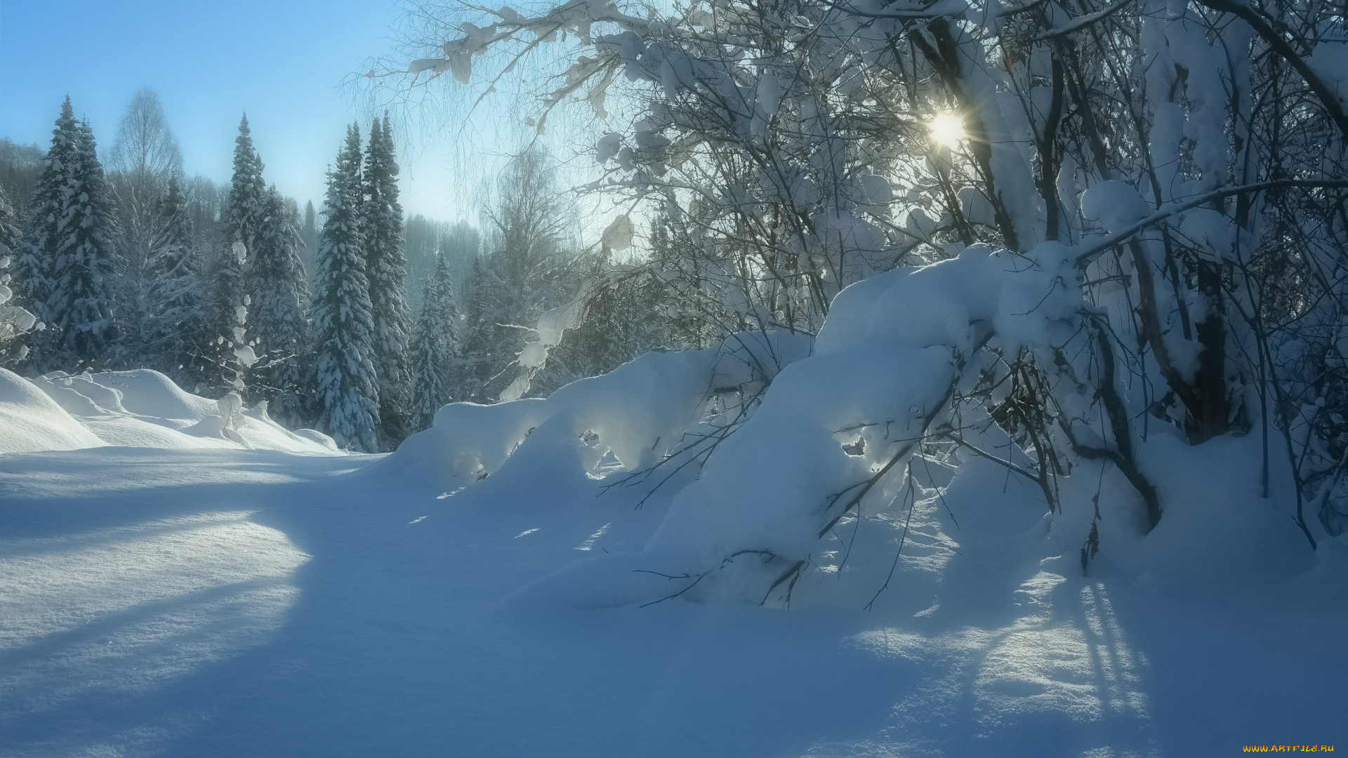 природа, зима, снег, сугробы