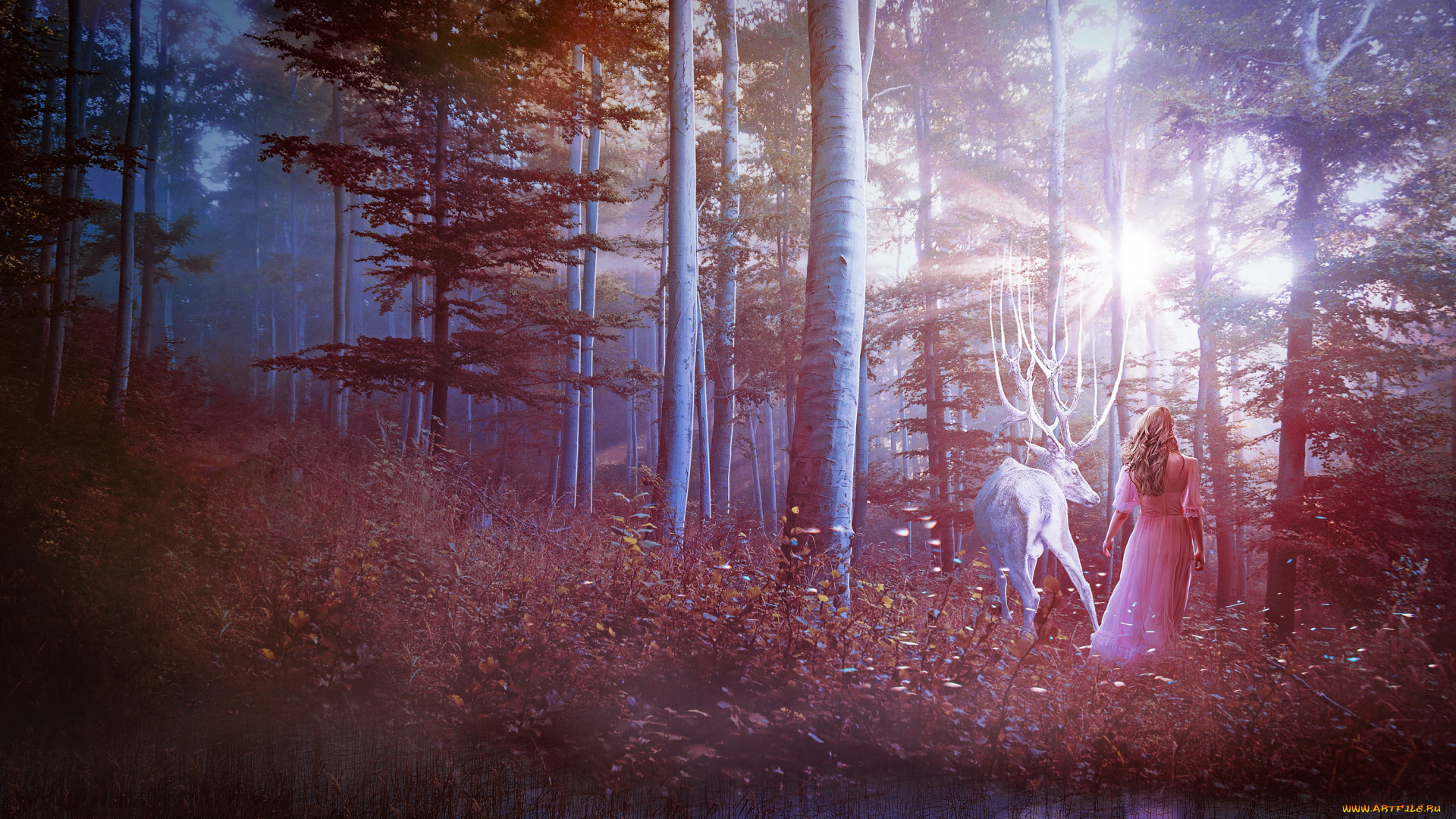 разное, компьютерный, дизайн, девушка, фон, лес, олень