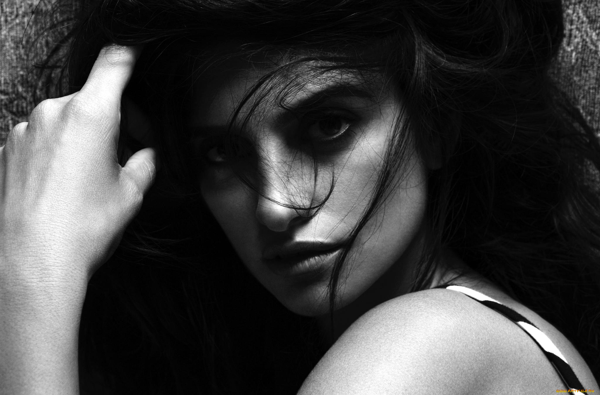 девушки, penelope, cruz, актриса, черно-белая, лицо