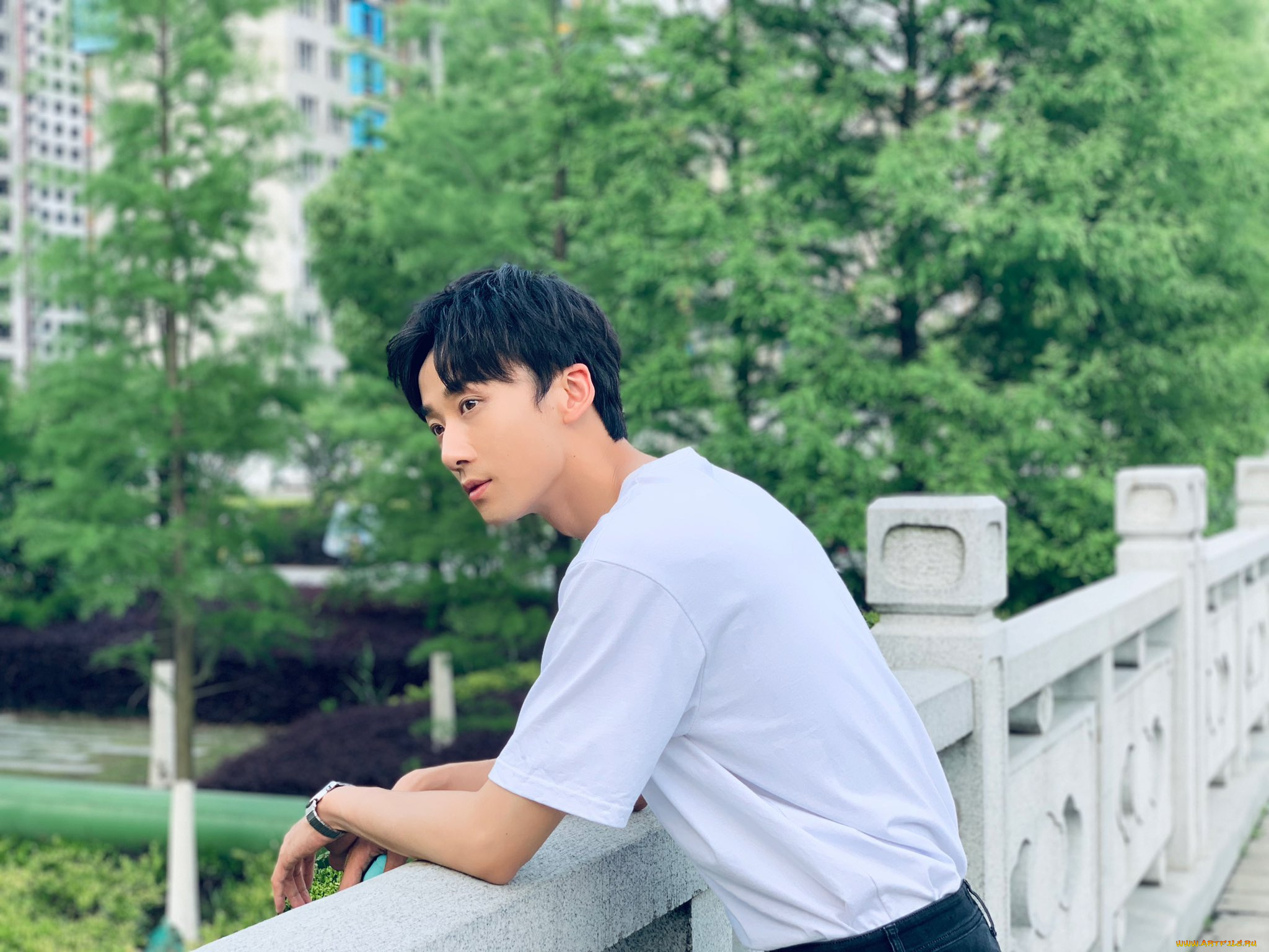 мужчины, li, bo, wen, li, bo, wen