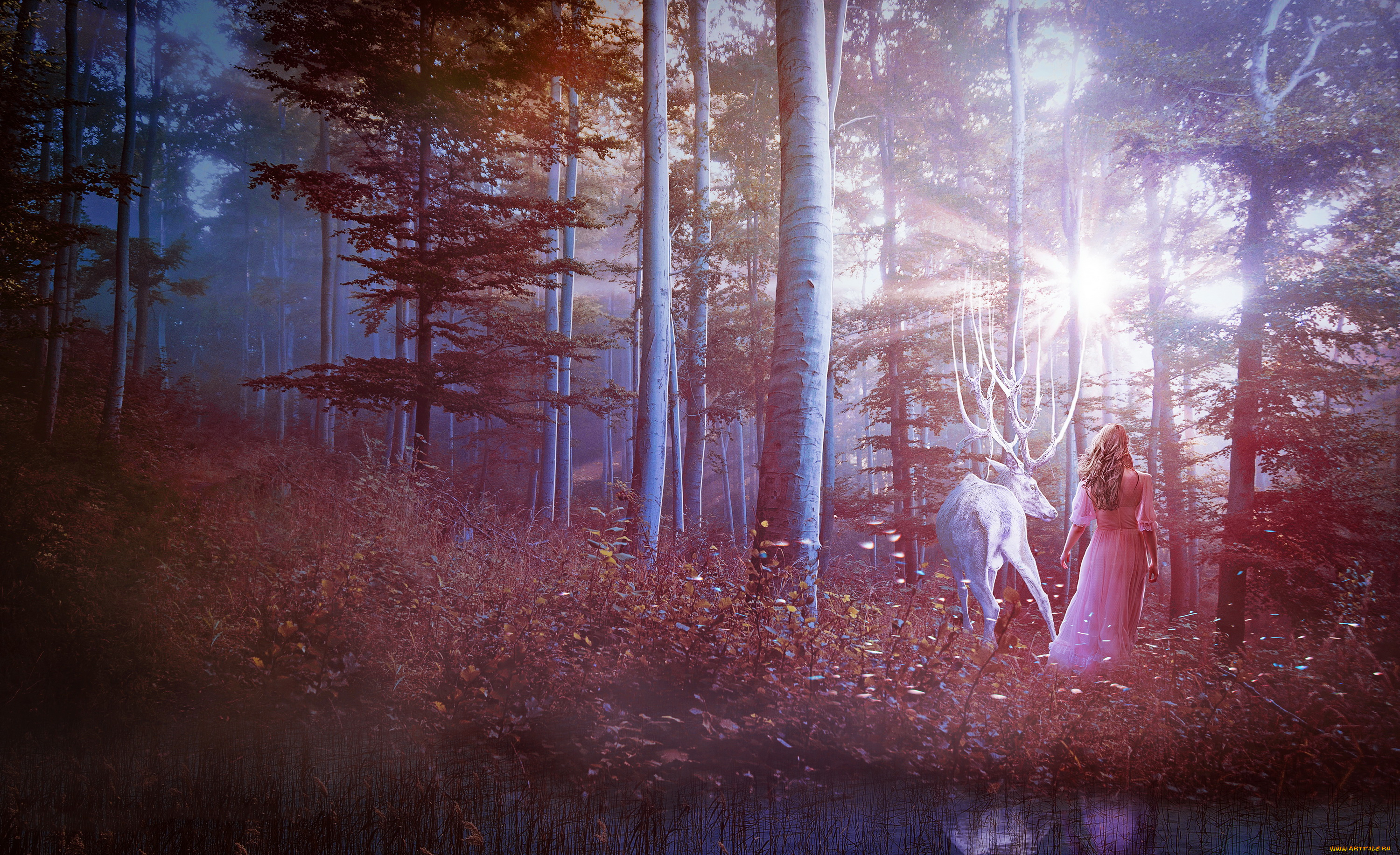 разное, компьютерный, дизайн, девушка, фон, лес, олень