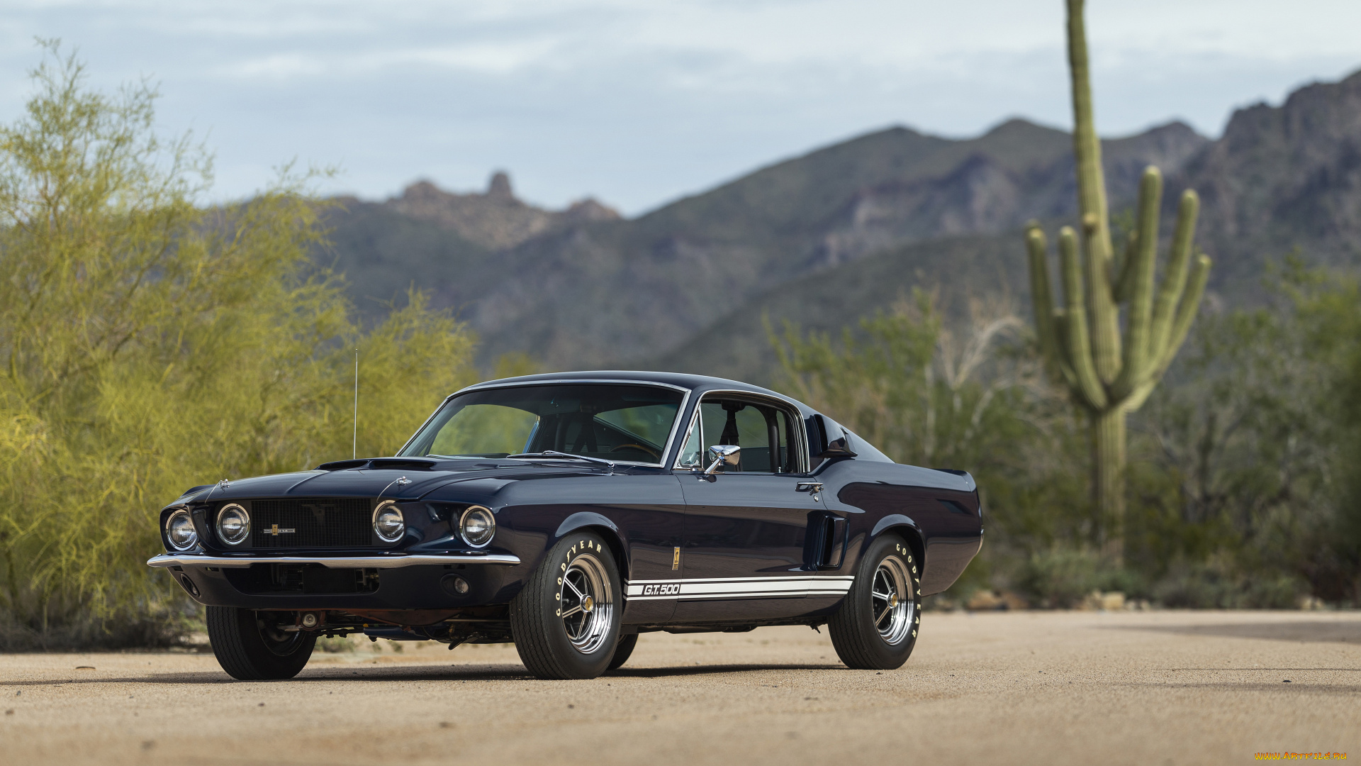 автомобили, mustang