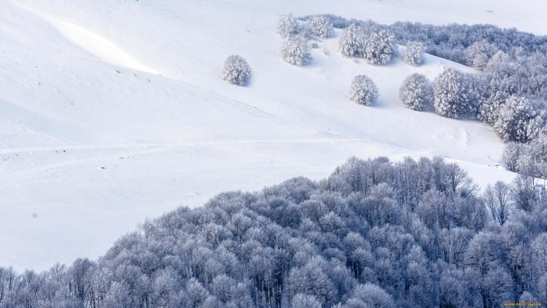 природа, зима, снежный, склон, снег, лес, заснеженные, деревья, горы, зимний, пейзаж